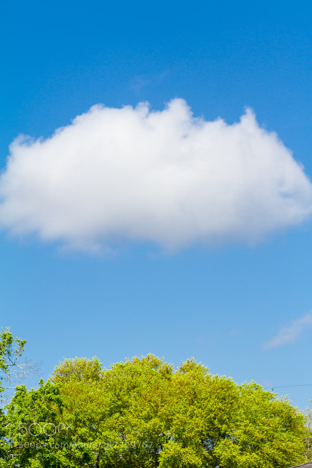 Canon EOS 7D sample photo. Copied shape photography