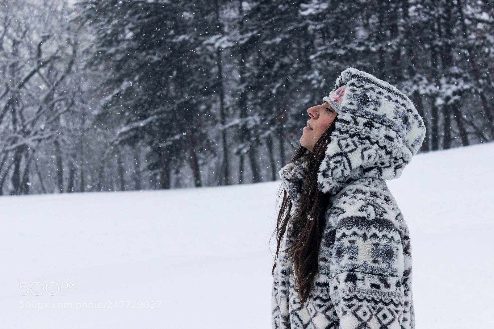 Canon EOS 600D (Rebel EOS T3i / EOS Kiss X5) sample photo. Winter zen photography