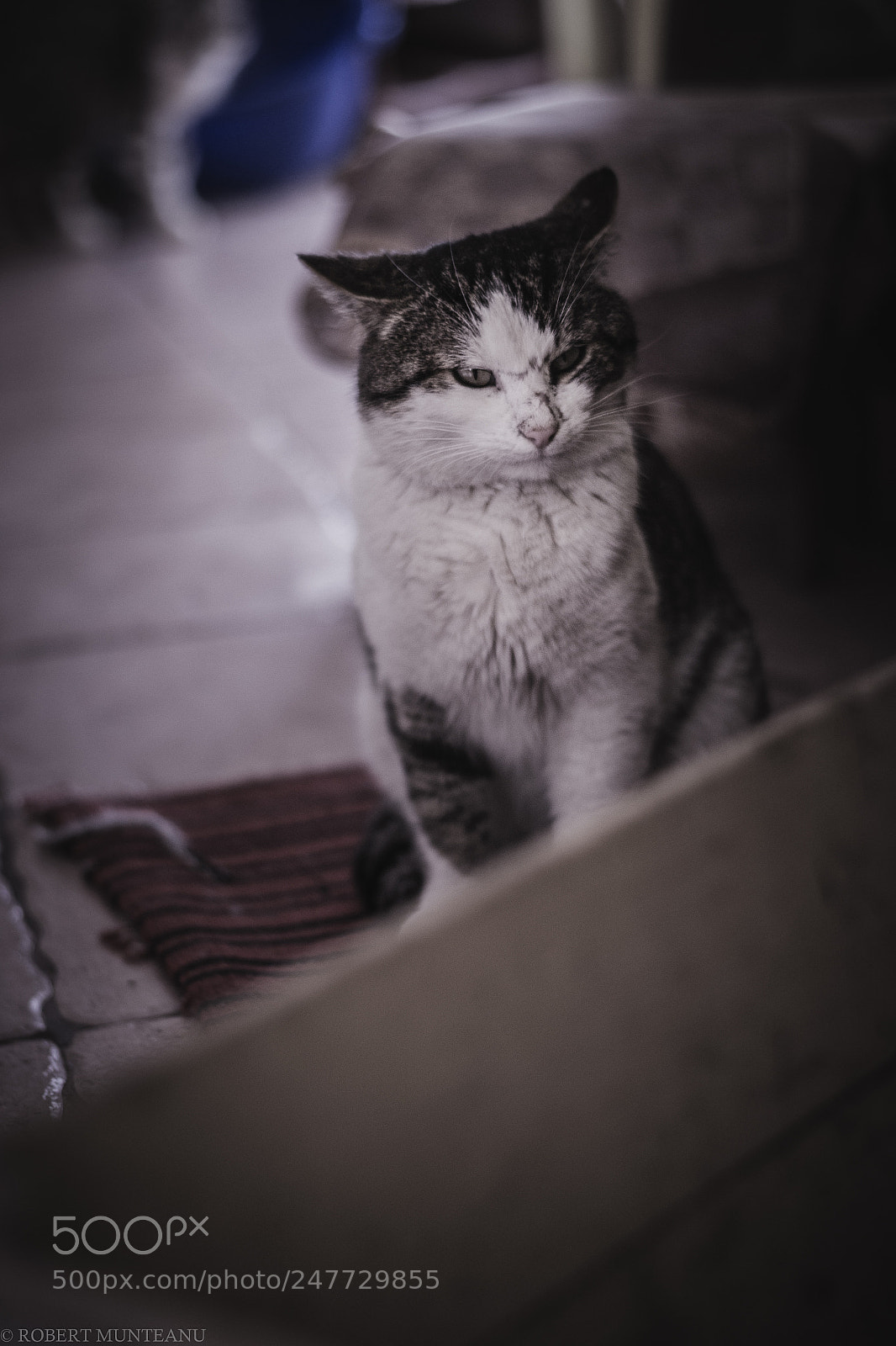 Nikon D3100 sample photo. Untitled photography
