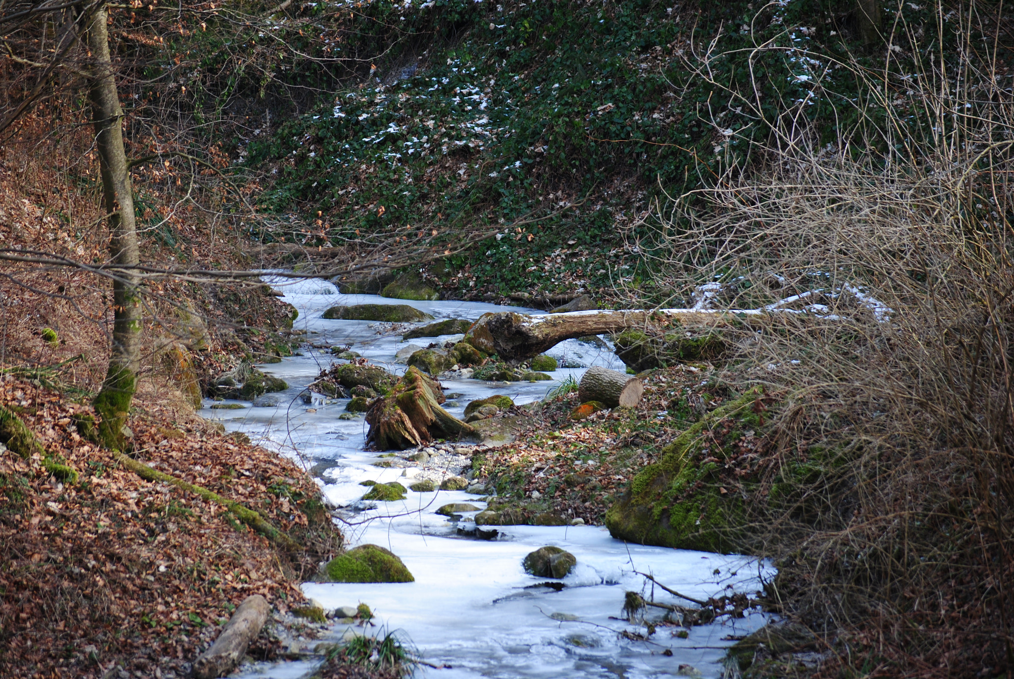 Nikon D3000 sample photo. Eis bach. photography
