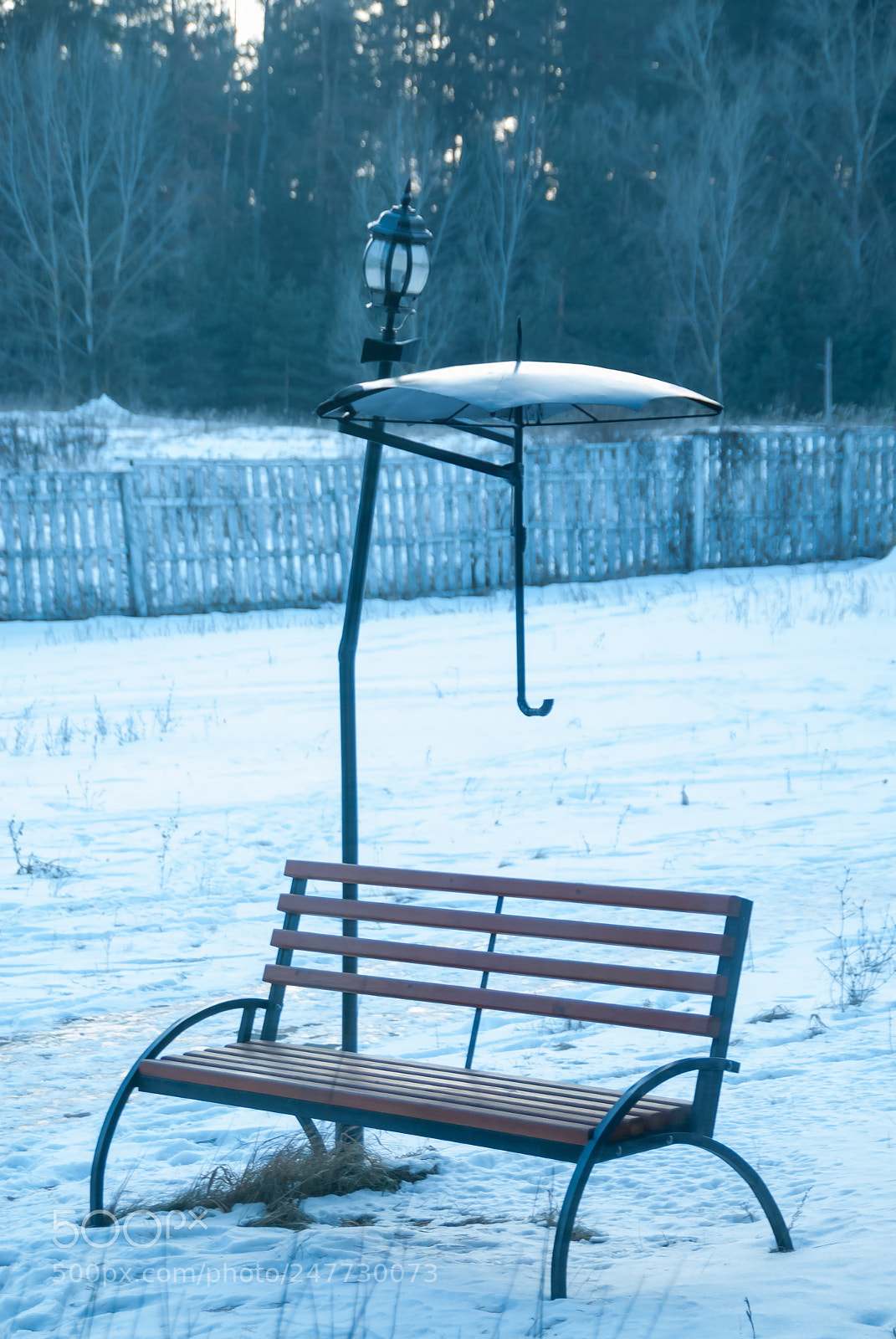 Nikon D200 sample photo. Caring... photography