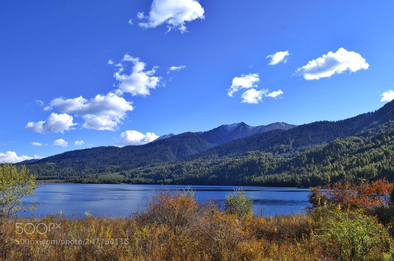 Nikon D5100 sample photo. Untitled photography