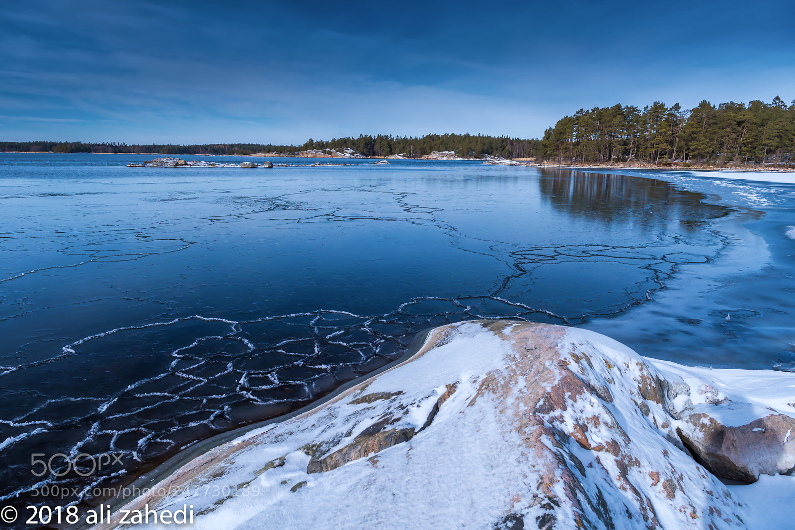 Nikon D810 sample photo. S.d.w photography
