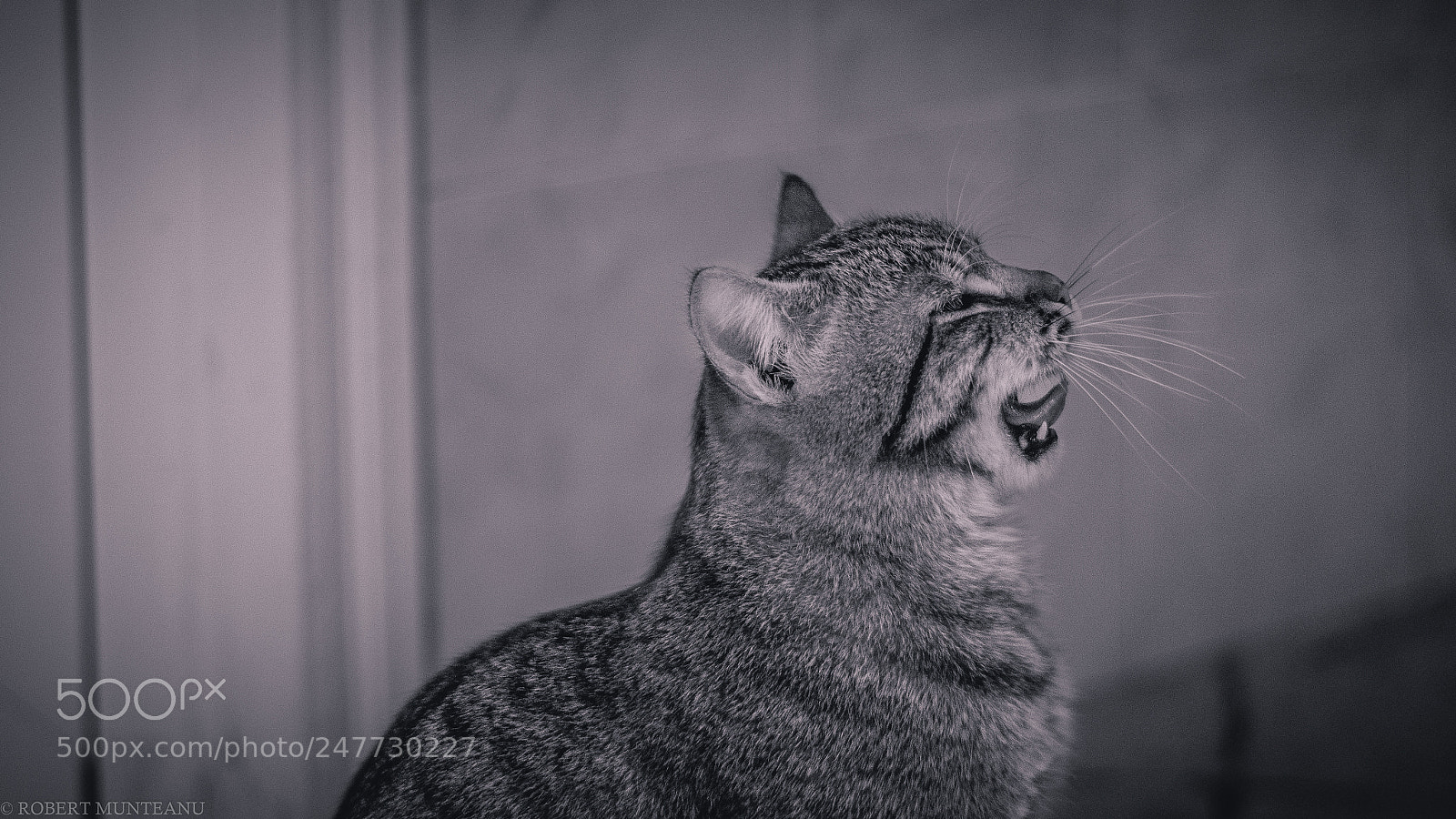 Nikon D3100 sample photo. Untitled photography