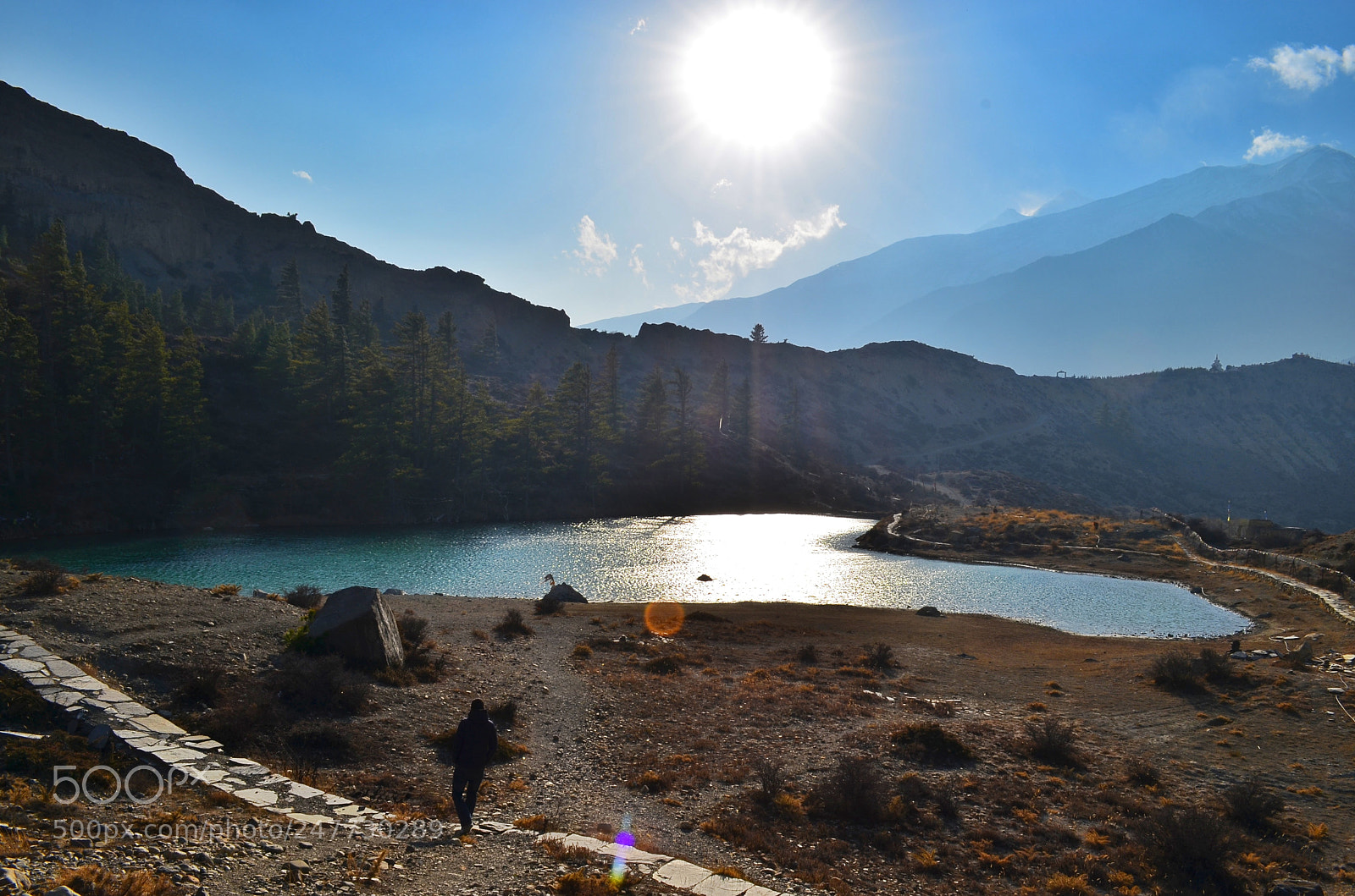 Nikon D5100 sample photo. Untitled photography