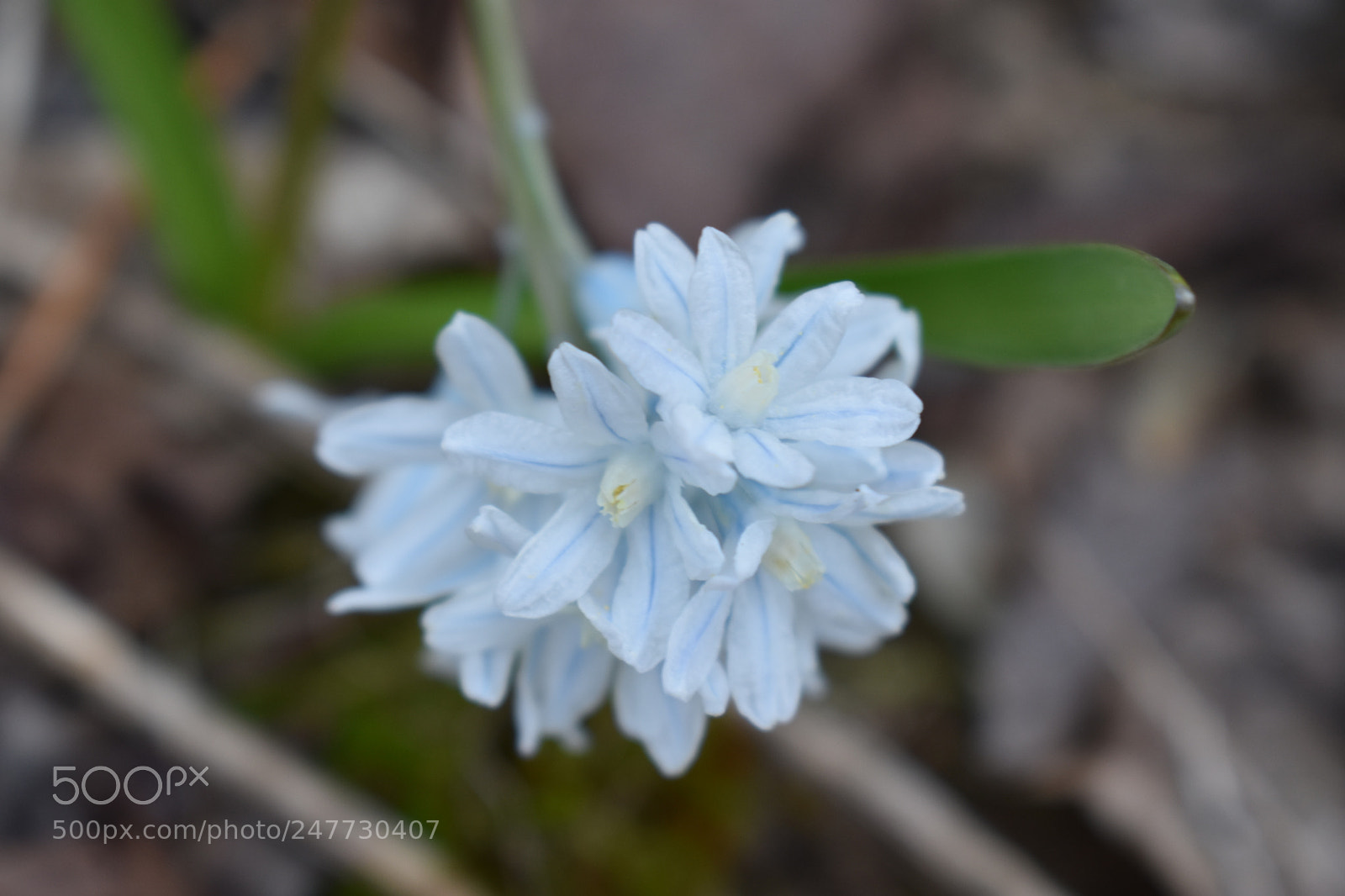 Nikon D3400 sample photo. Untitled photography