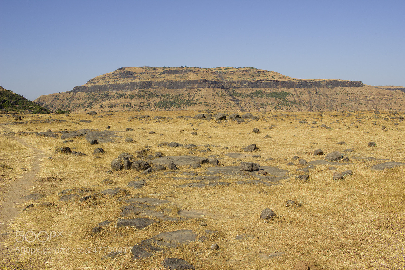 Canon EOS 600D (Rebel EOS T3i / EOS Kiss X5) sample photo. Dry landscape photography