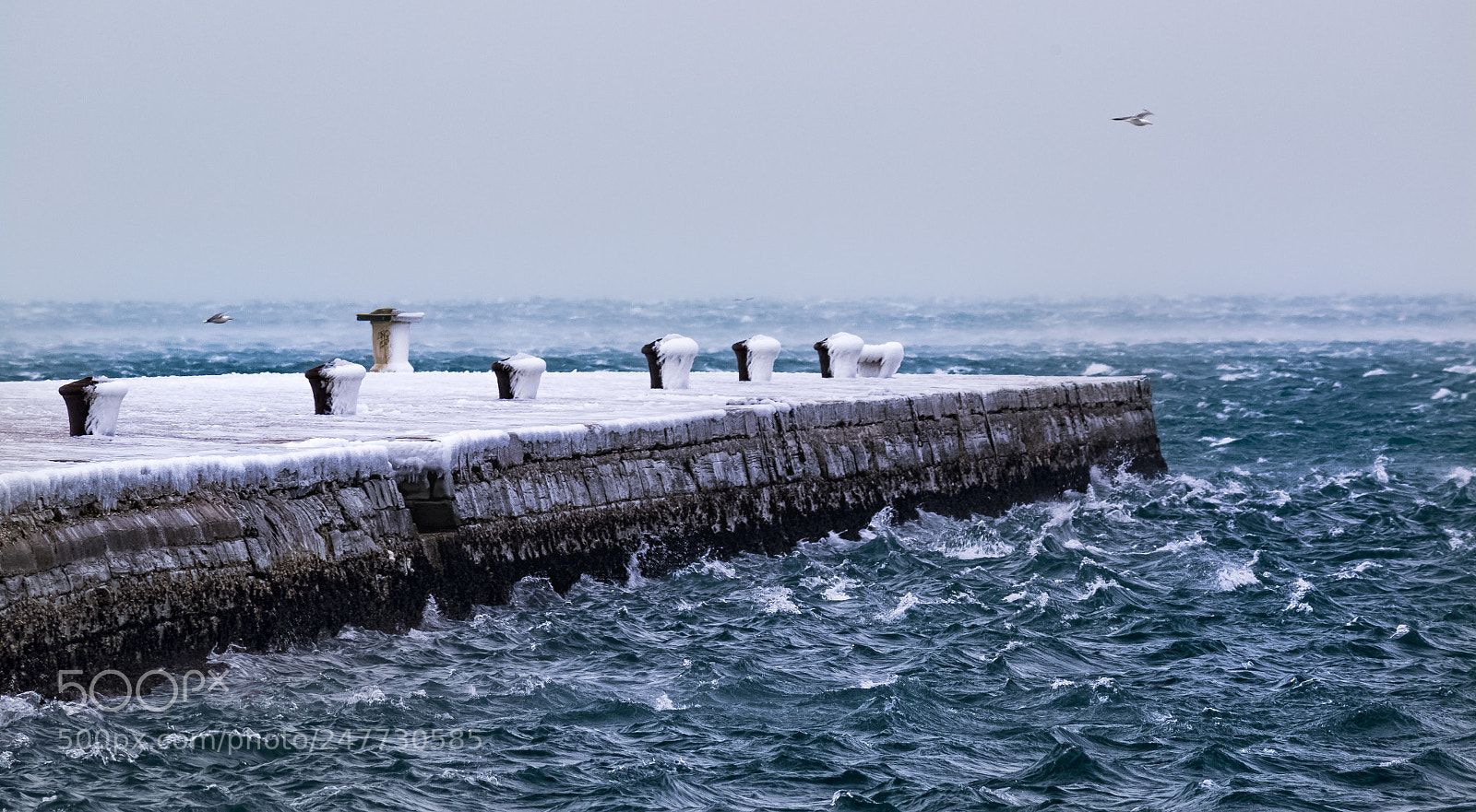 Canon EOS 7D Mark II sample photo. Molo audace - trieste photography