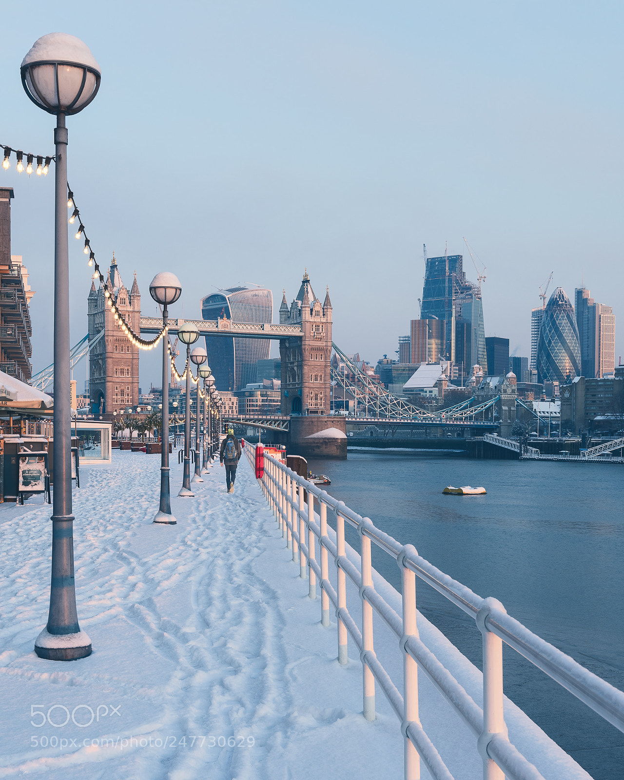 Nikon D810 sample photo. Footprints in the snow photography