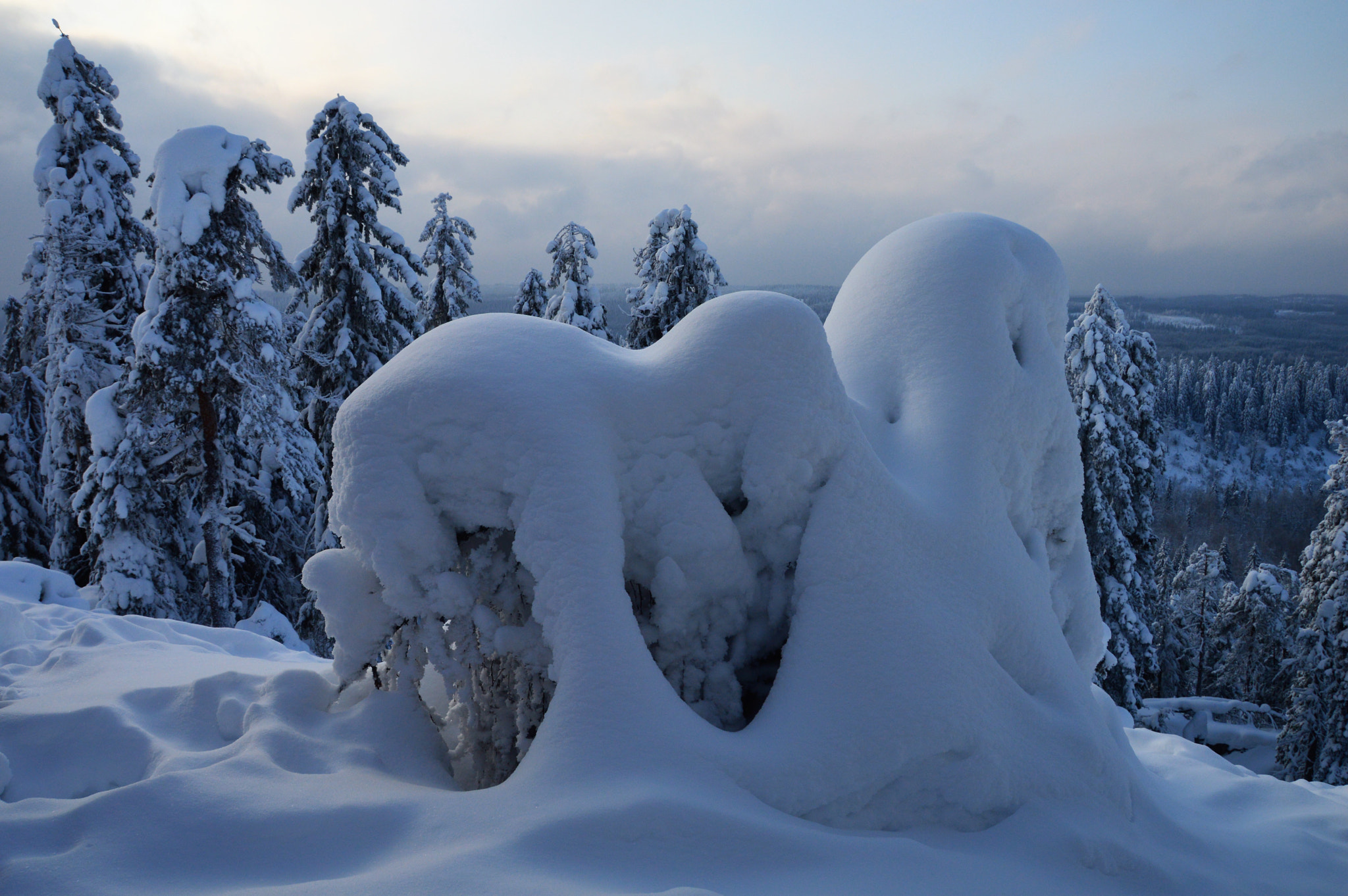 Nikon D3200 + Sigma 18-200mm F3.5-6.3 II DC OS HSM sample photo. The artistic works of snow. photography