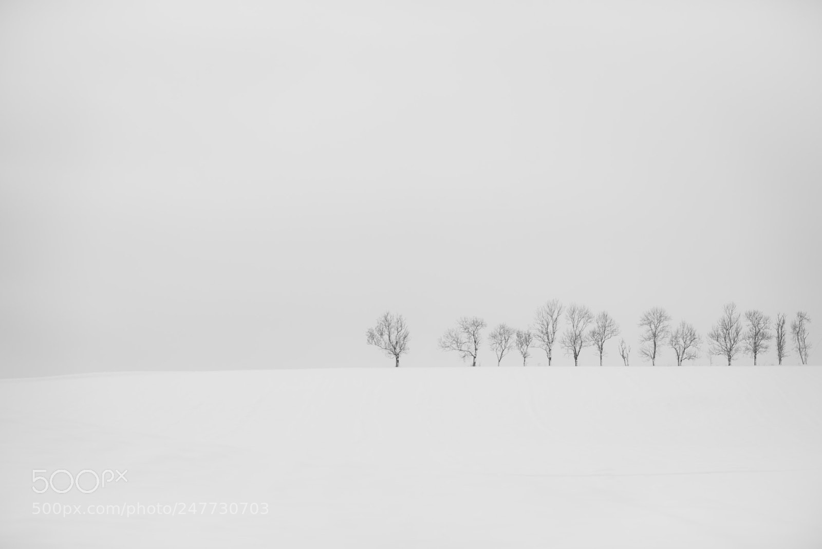 Nikon D800 sample photo. Here comes winter photography