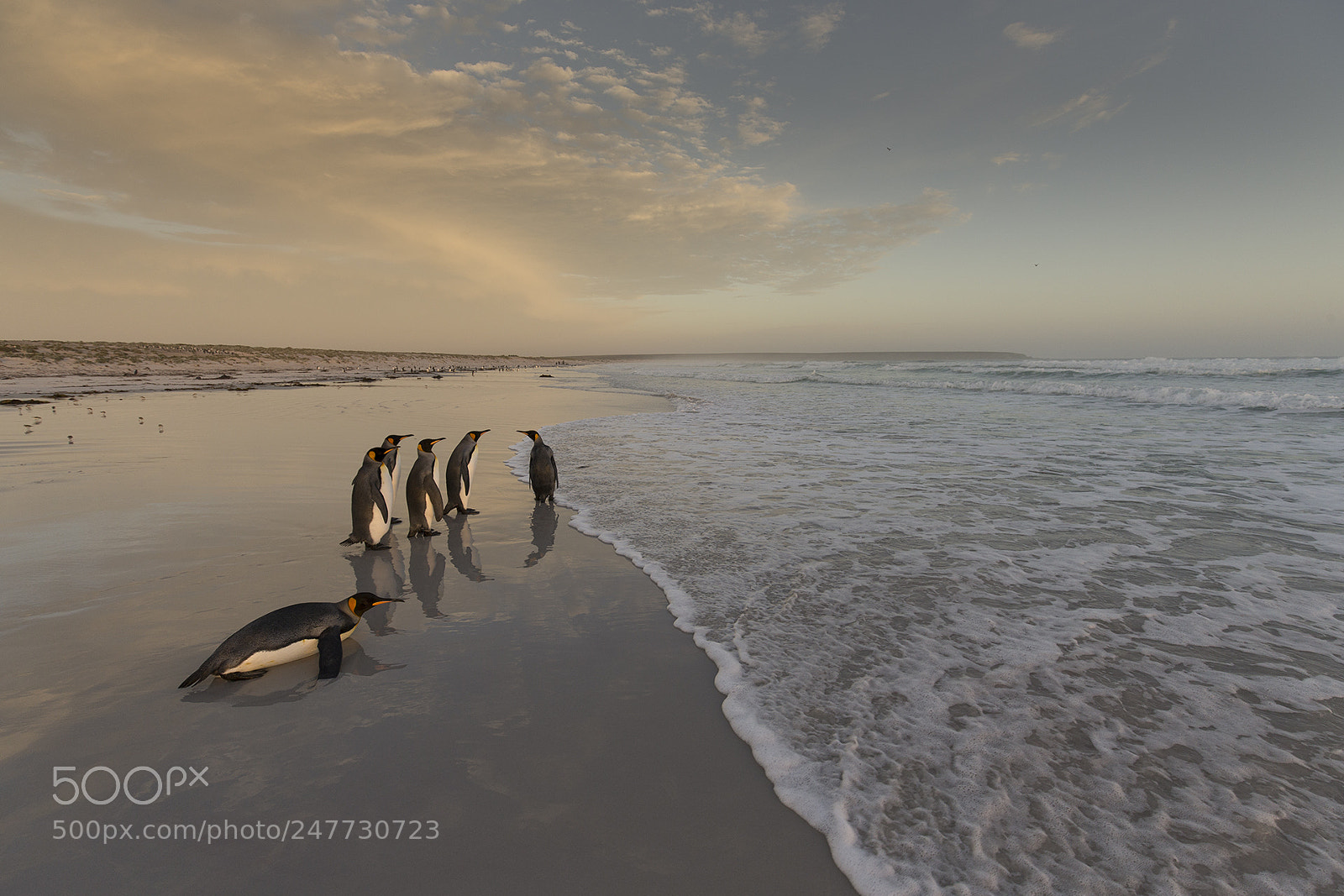 Canon EOS-1D X sample photo. By the sea photography