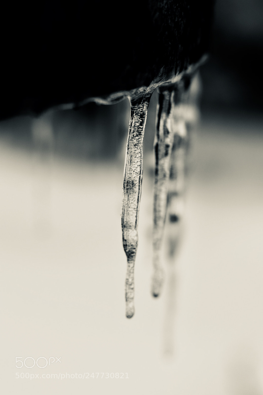 Canon EOS 800D (EOS Rebel T7i / EOS Kiss X9i) sample photo. Icicles photography