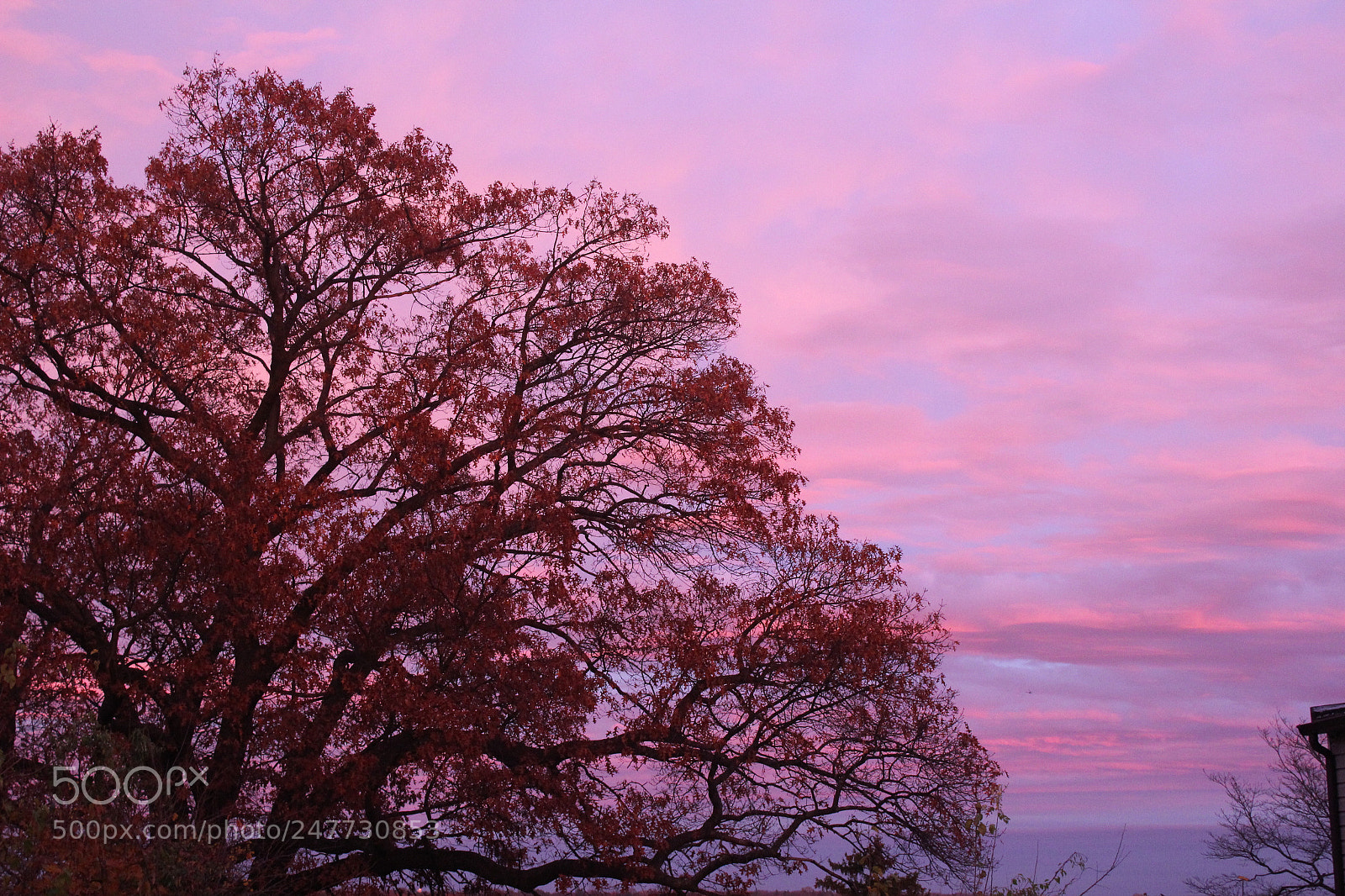 Canon EOS 1200D (EOS Rebel T5 / EOS Kiss X70 / EOS Hi) sample photo. Autumn nights photography
