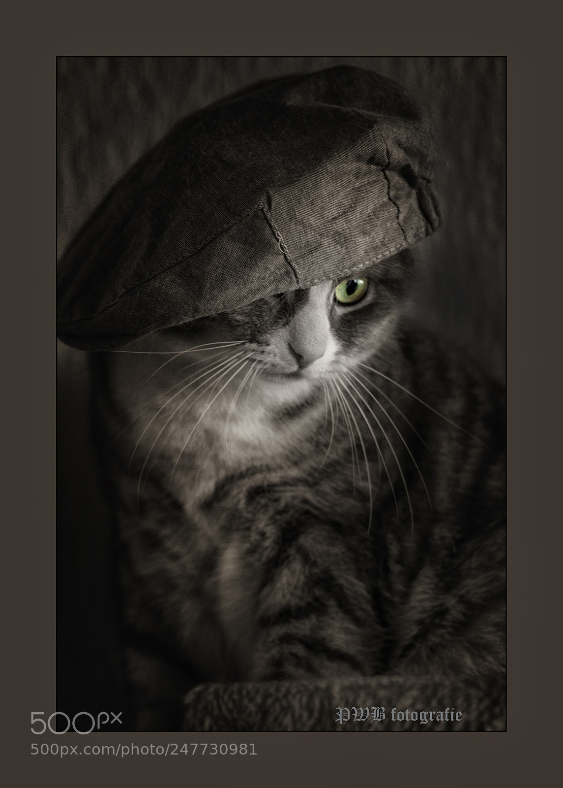 Canon EOS 700D (EOS Rebel T5i / EOS Kiss X7i) sample photo. One of the boys photography