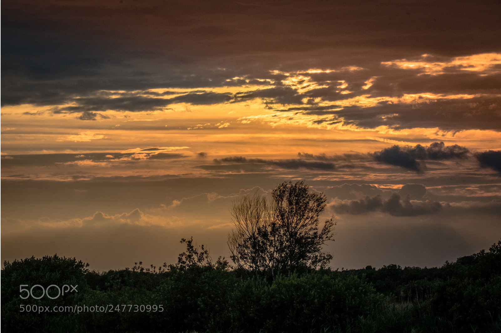 Canon EOS 80D sample photo. Sunset photography