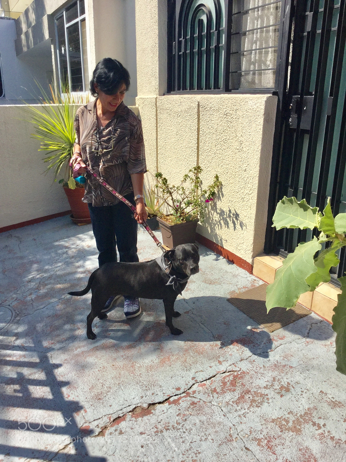 Apple iPod touch sample photo. La reyna de la photography