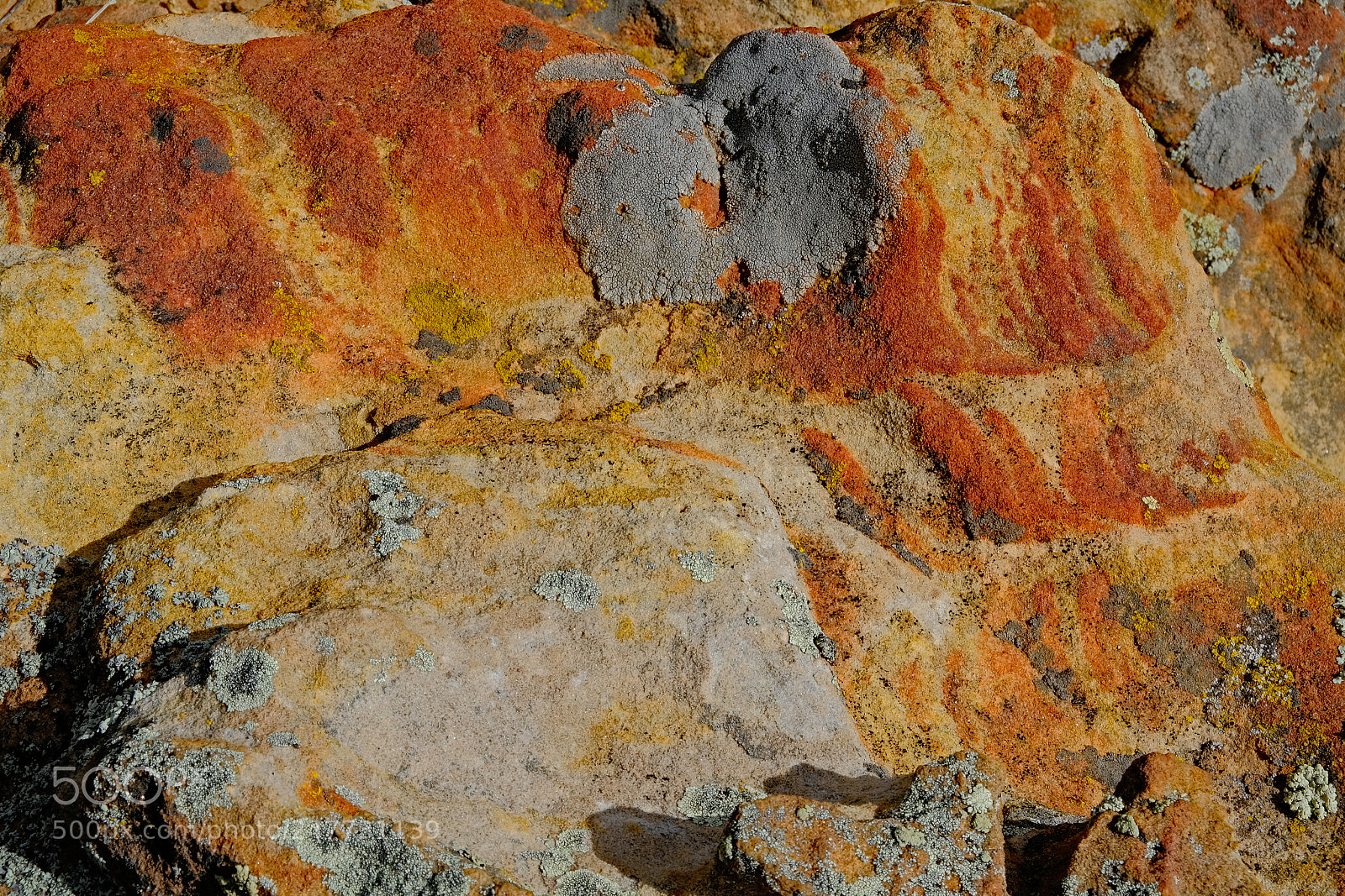 Fujifilm X-T2 sample photo. Colorful rocks and lichens photography