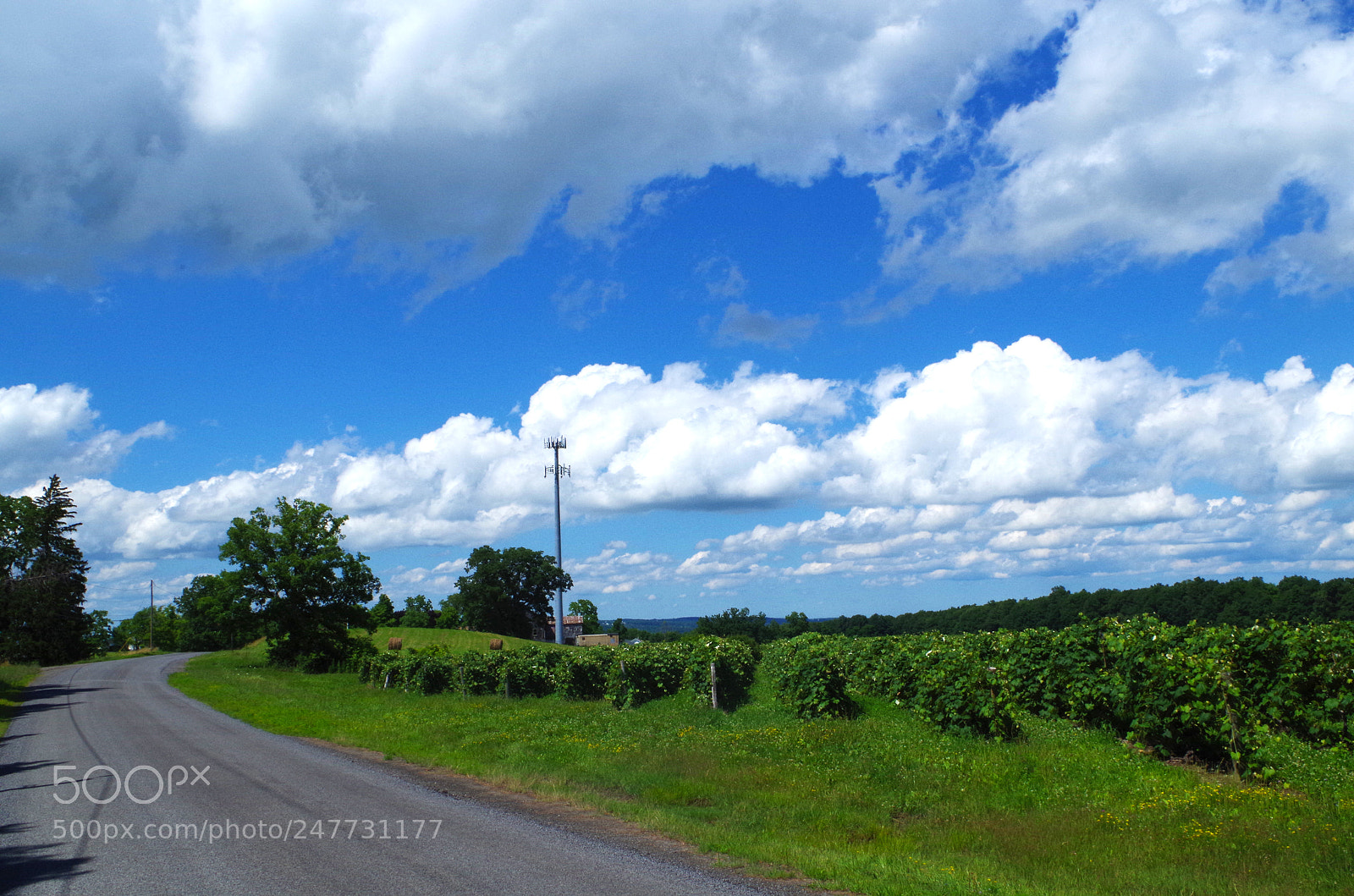 Pentax K-50 sample photo. Cloud road photography