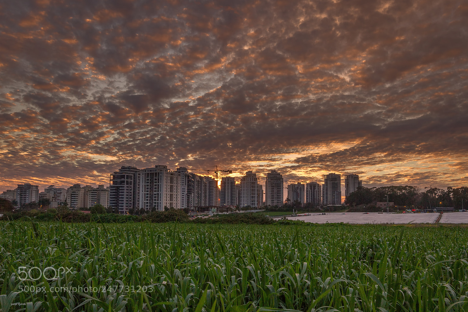Canon EOS 7D sample photo. Sunset in my neighborhood photography
