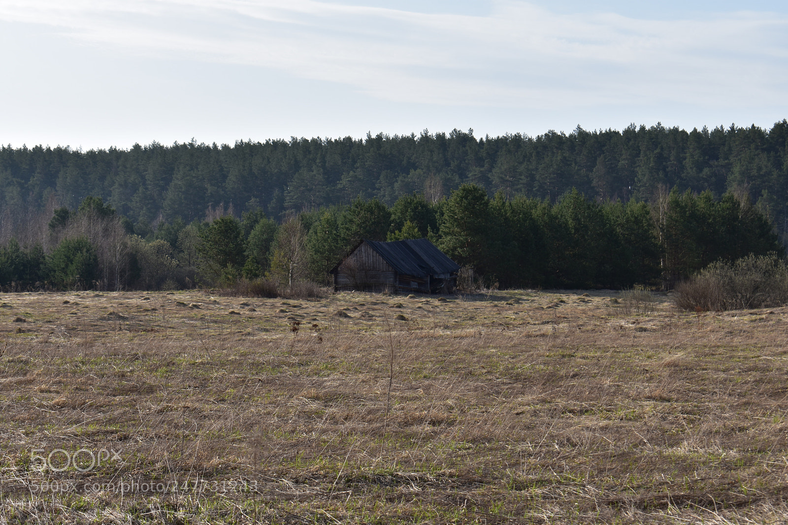 Nikon D3400 sample photo. Untitled photography