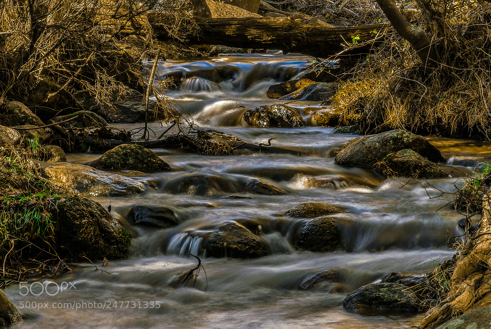 Pentax K10D sample photo. R o manzanares la photography