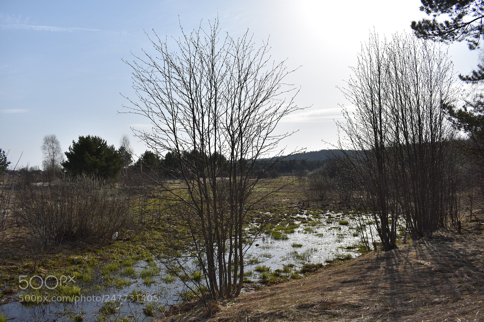 Nikon D3400 sample photo. Untitled photography