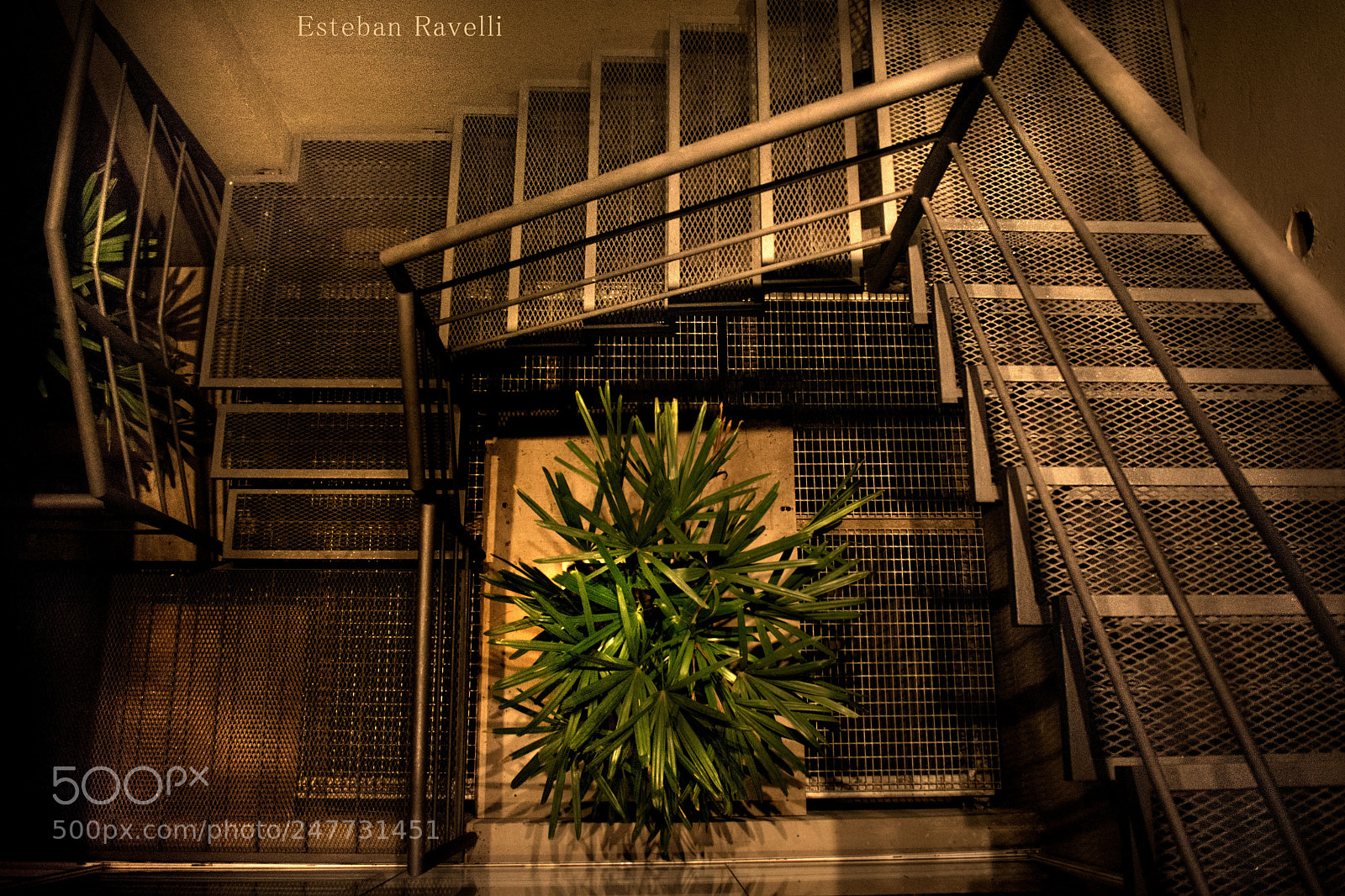 Nikon D5200 sample photo. Down photography