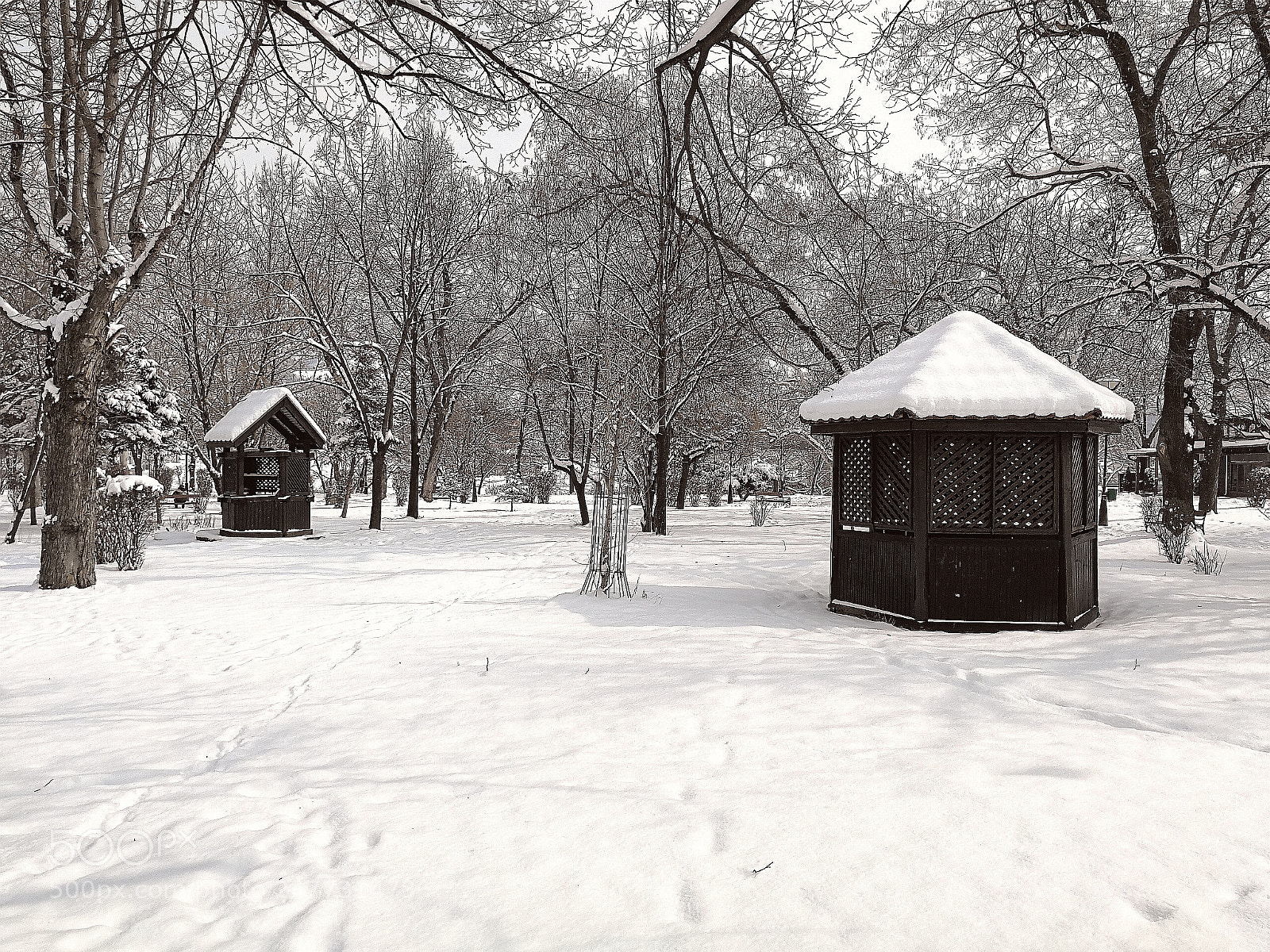 HUAWEI P10 sample photo. Snow in park photography
