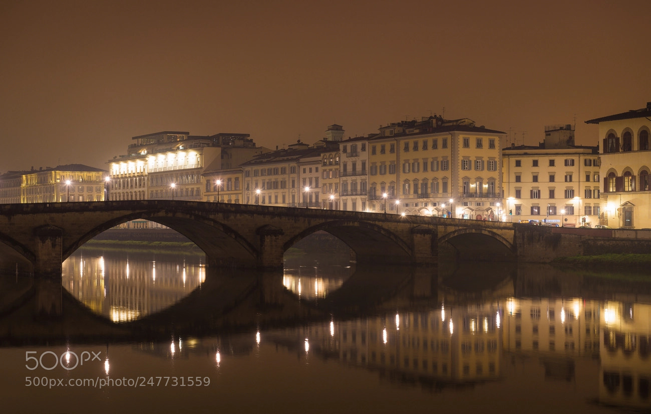 Nikon D610 sample photo. The bridge photography