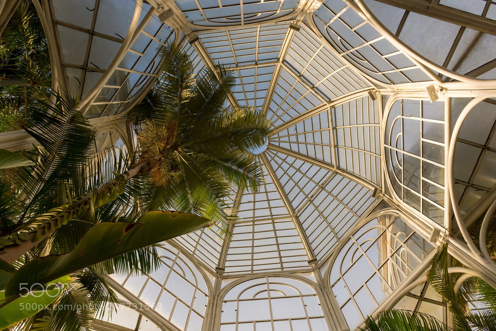 Nikon D7200 sample photo. Botanical garden of curitiba photography