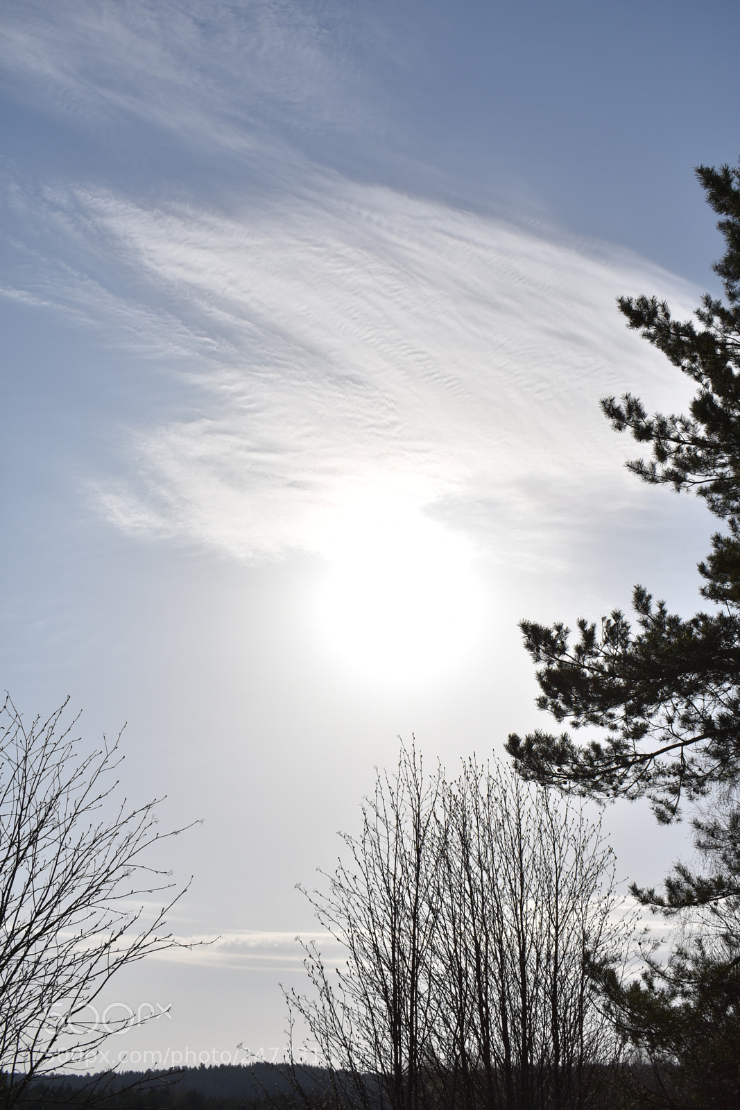 Nikon D3400 sample photo. Untitled photography