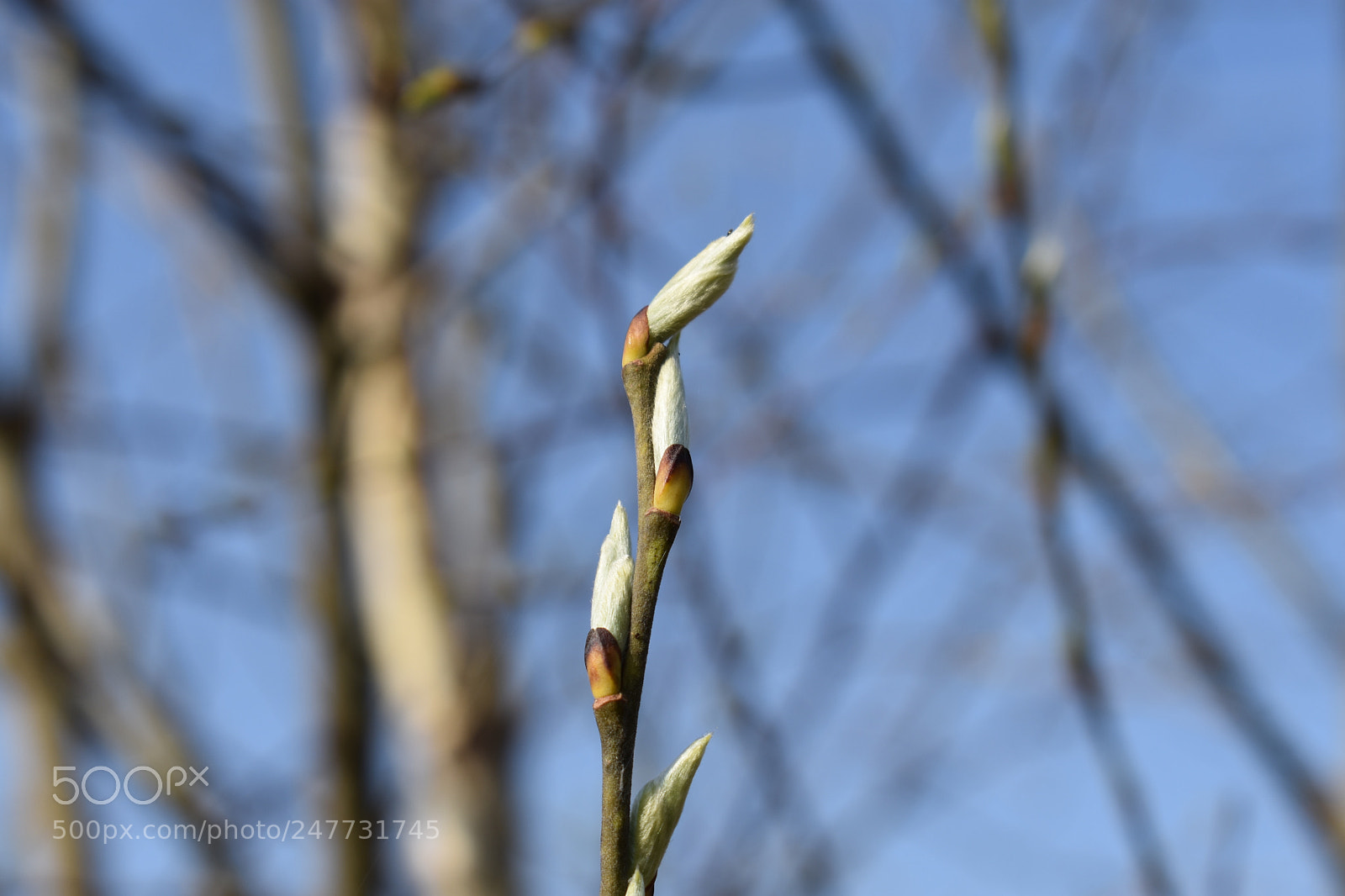 Nikon D3400 sample photo. Untitled photography