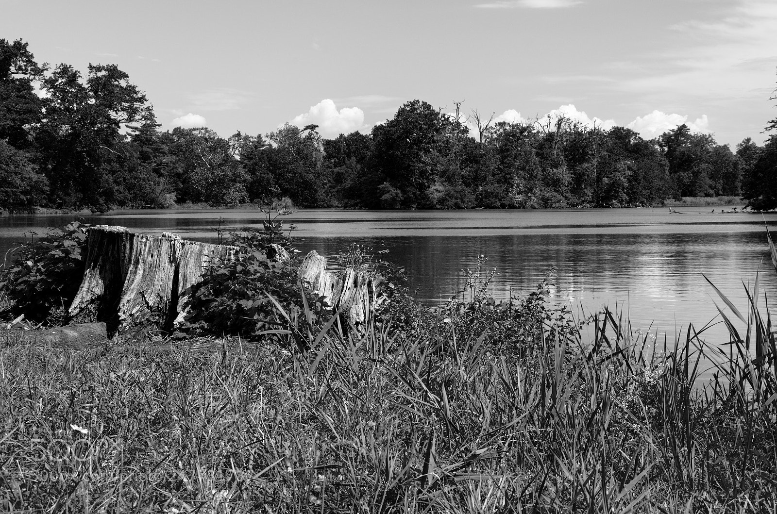 Nikon D5100 sample photo. Witness of old times photography