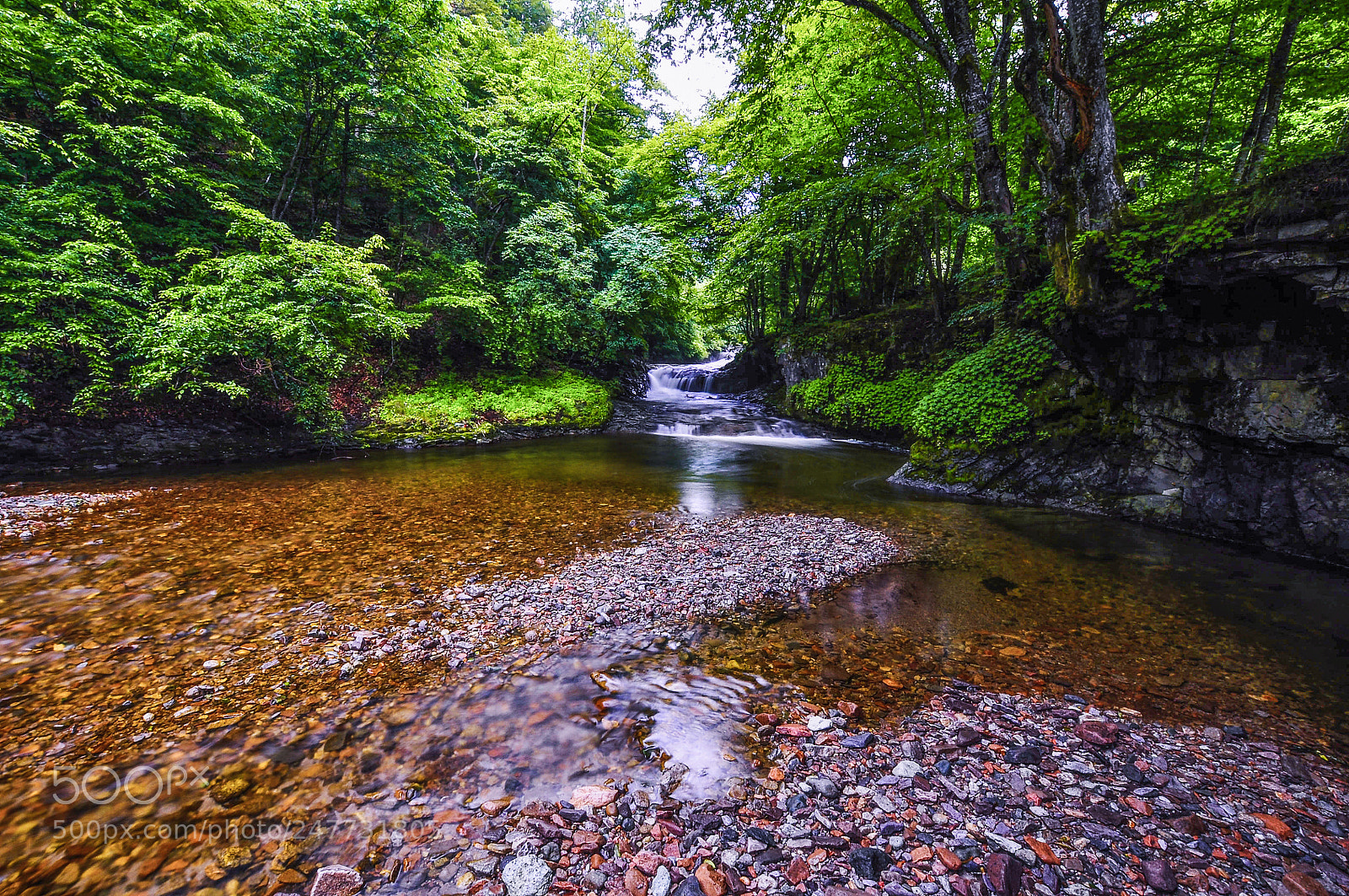 Nikon D90 sample photo. The river photography
