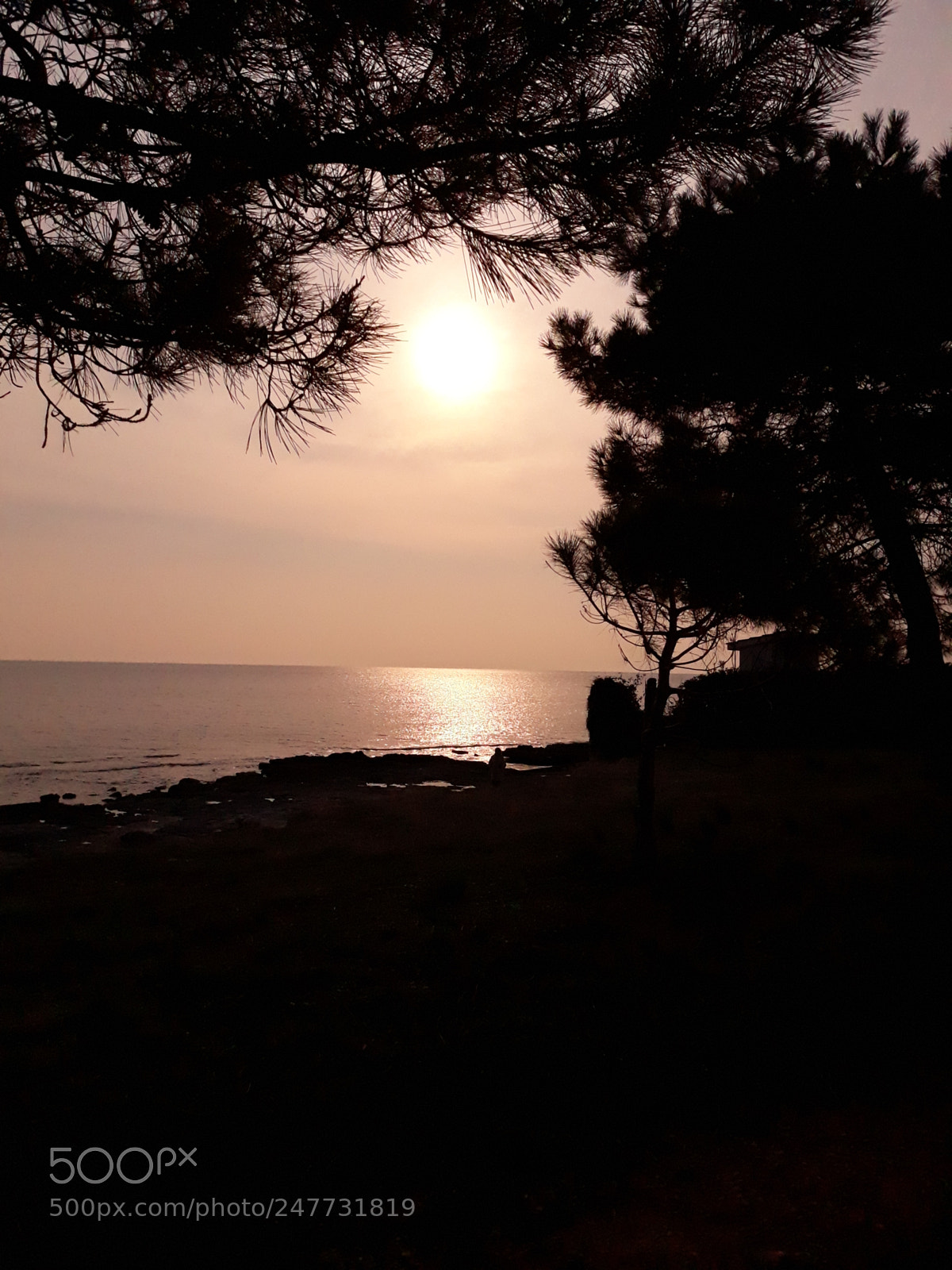 Samsung Galaxy J7 sample photo. 28.02.2018, novigrad photography
