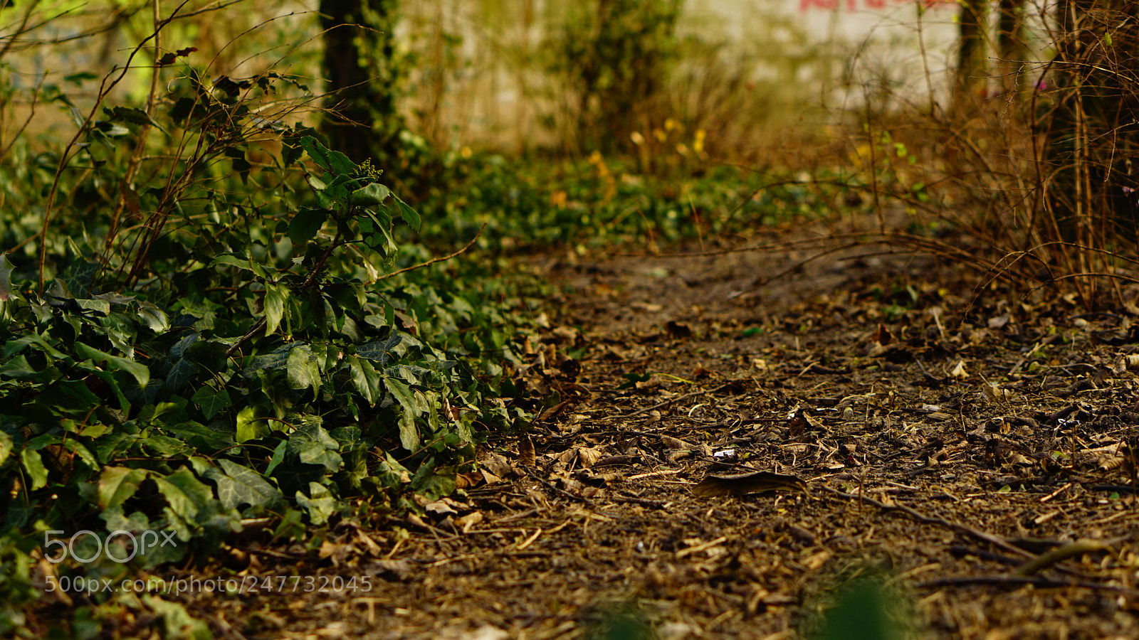 Sony a5100 sample photo. Little street photography