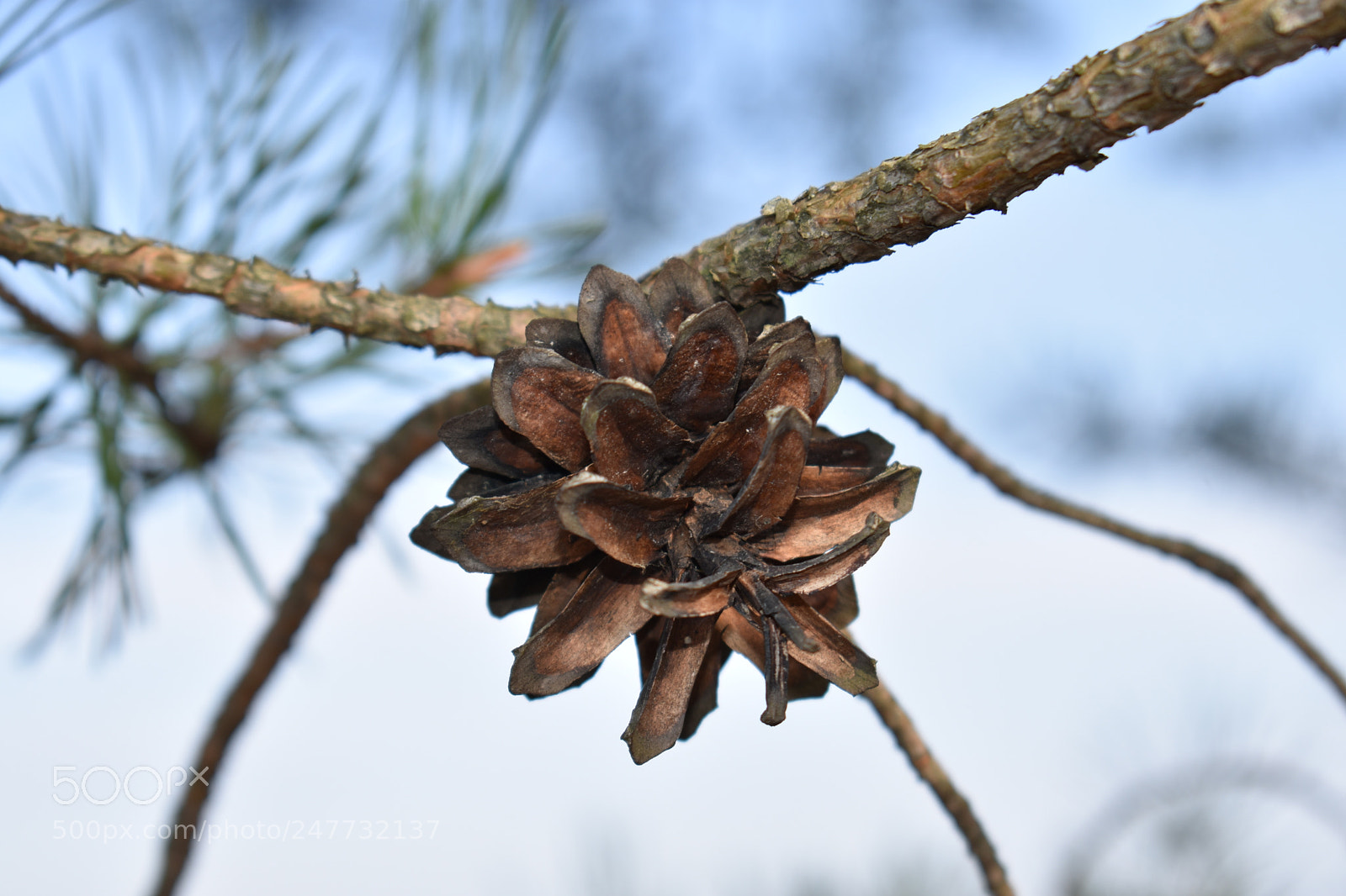 Nikon D3400 sample photo. Untitled photography