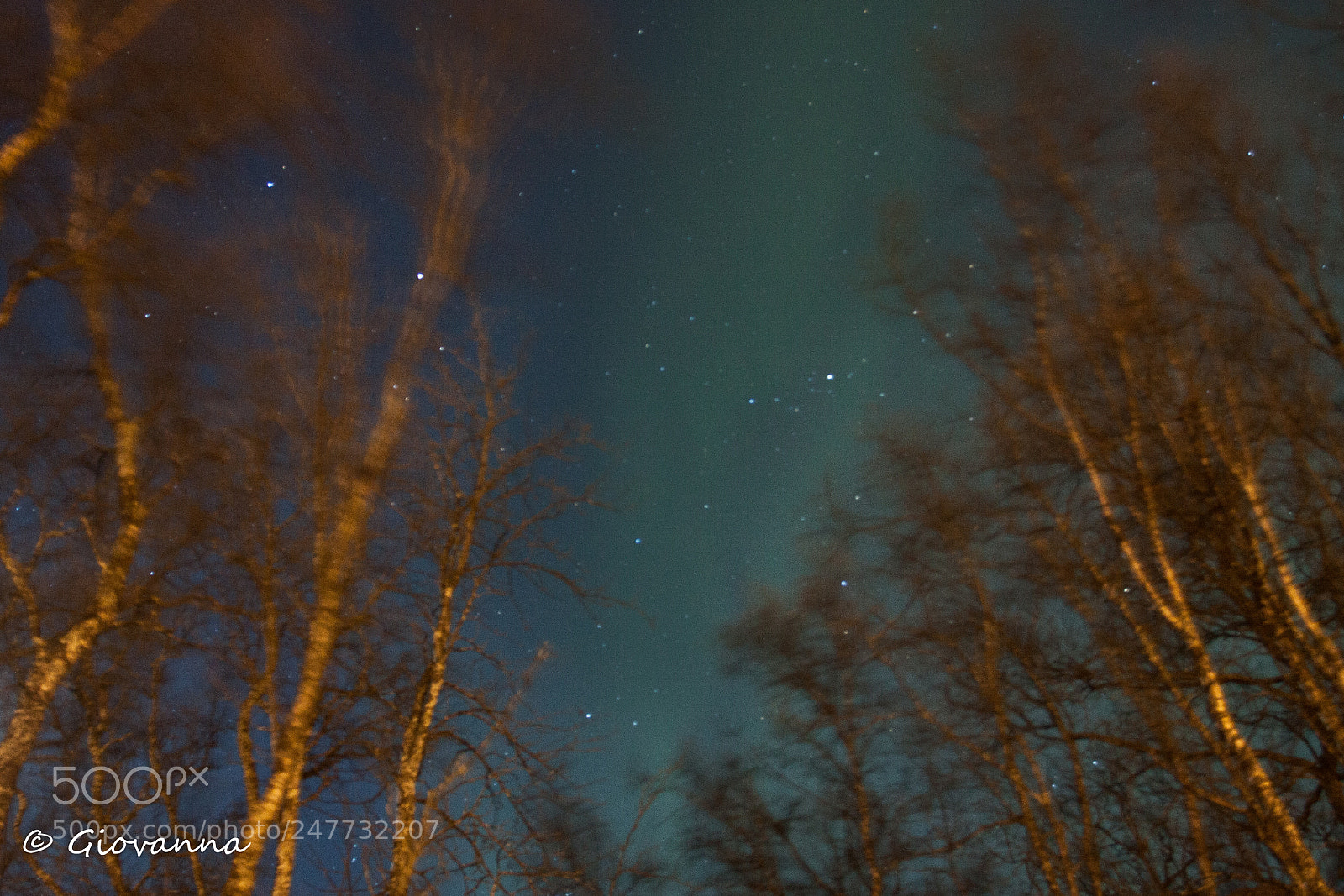 Canon EOS 50D sample photo. Northern lights through the photography