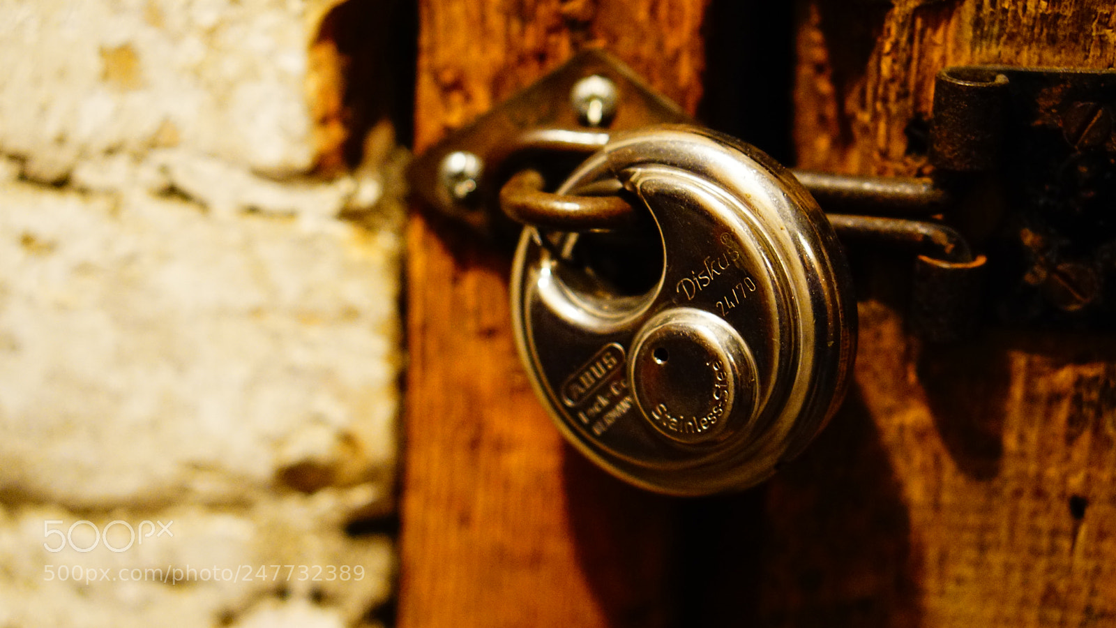 Sony a5100 sample photo. Untitled photography