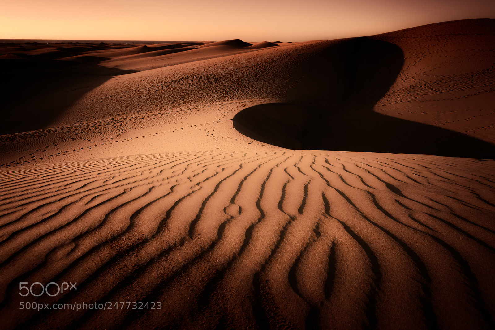 Nikon D800 sample photo. Gran canaria, d nen photography