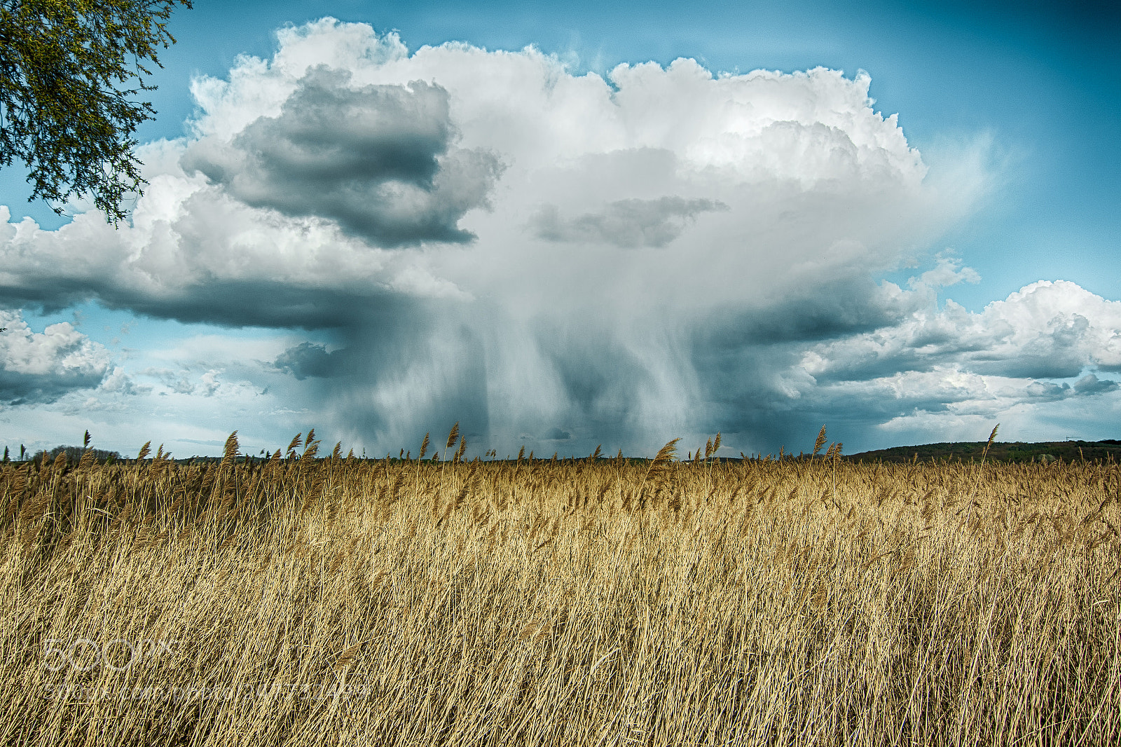 Nikon D5200 sample photo. Wetterkapriolen am deich photography