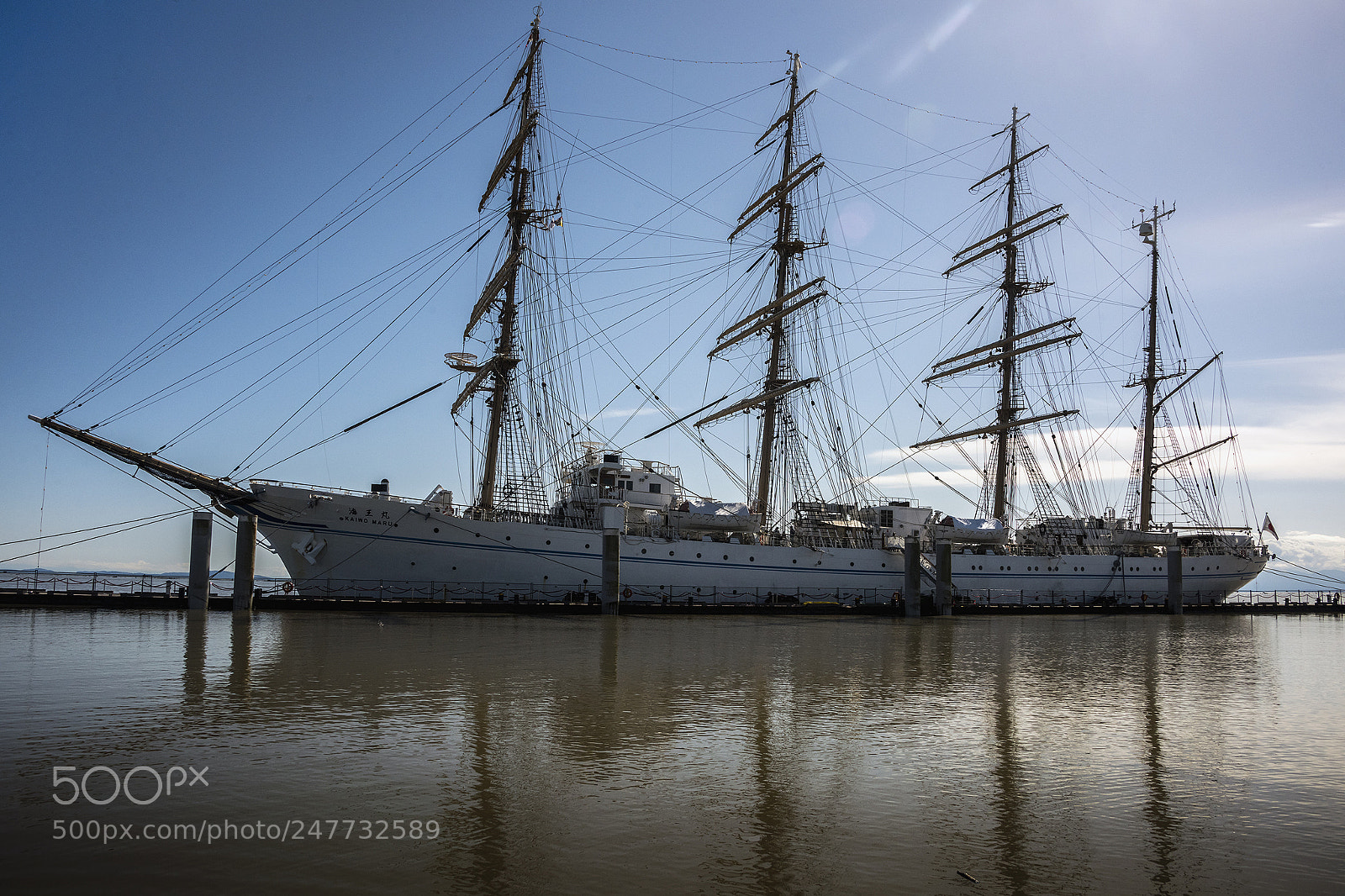 Nikon D810 sample photo. Backlit 4-masted bark photography