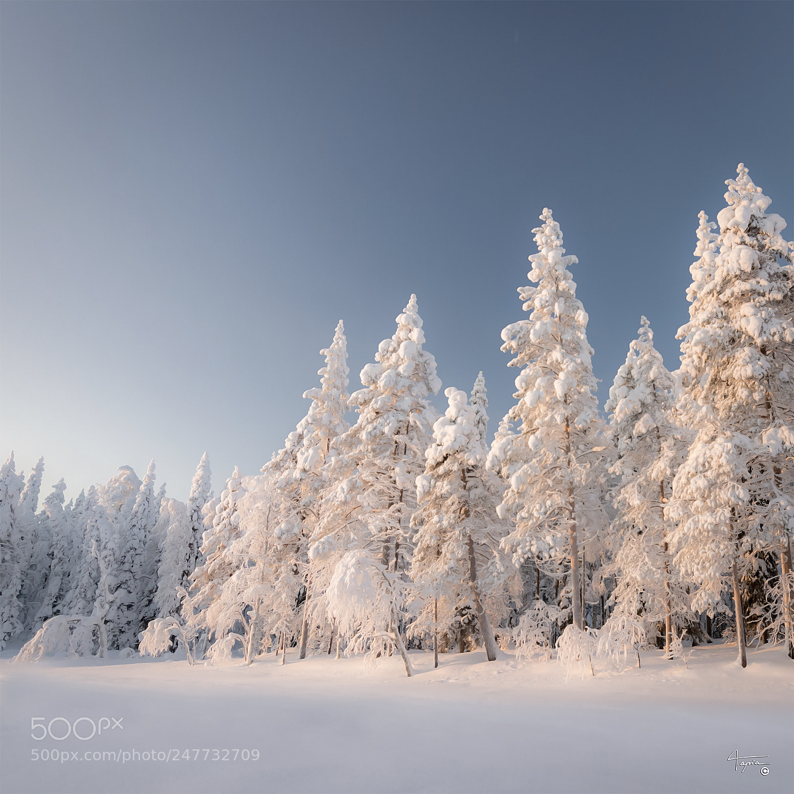 Nikon D7100 sample photo. Lapland photography