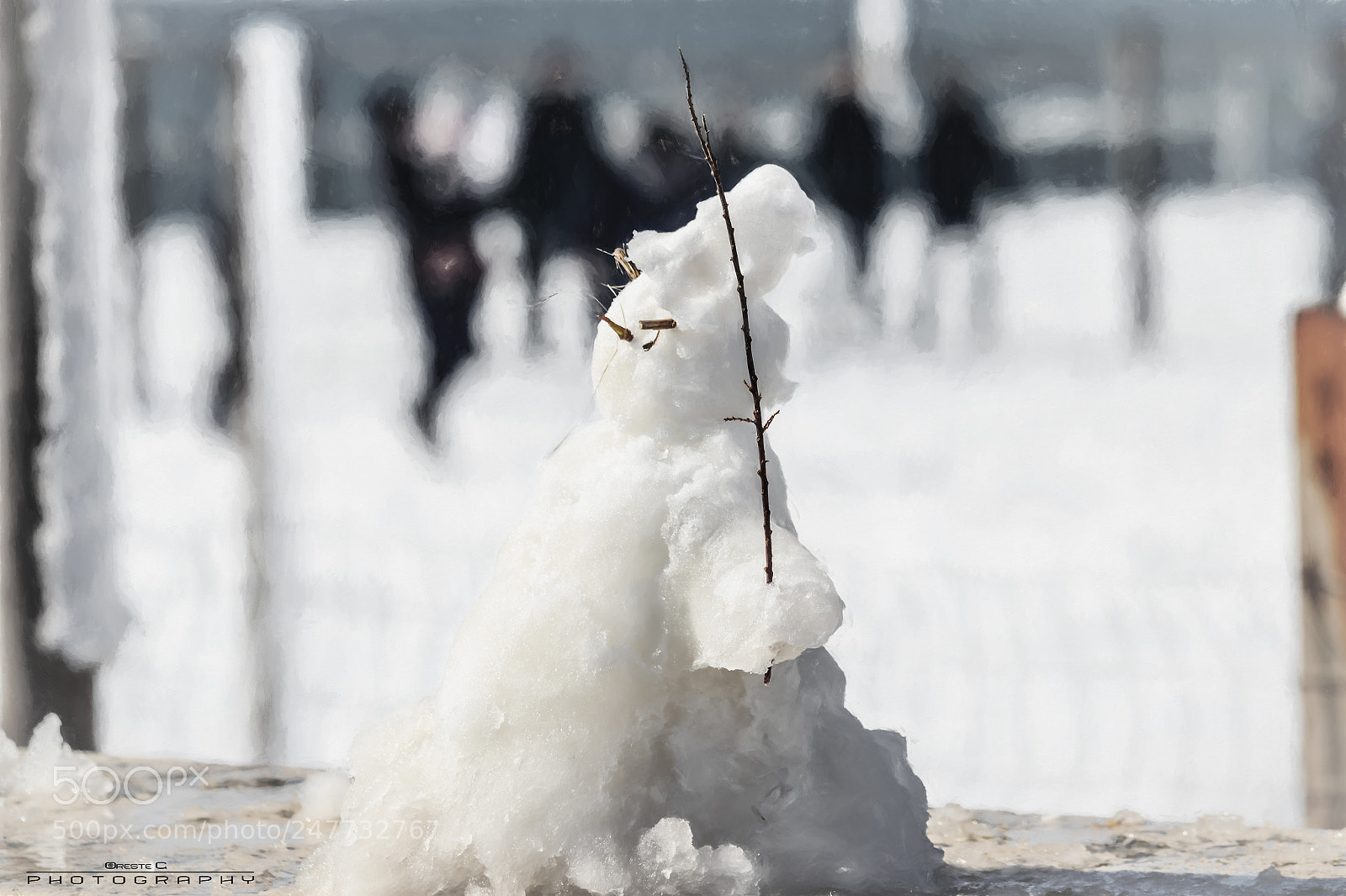 Canon EOS 600D (Rebel EOS T3i / EOS Kiss X5) sample photo. Mr. snowman-bonsai photography