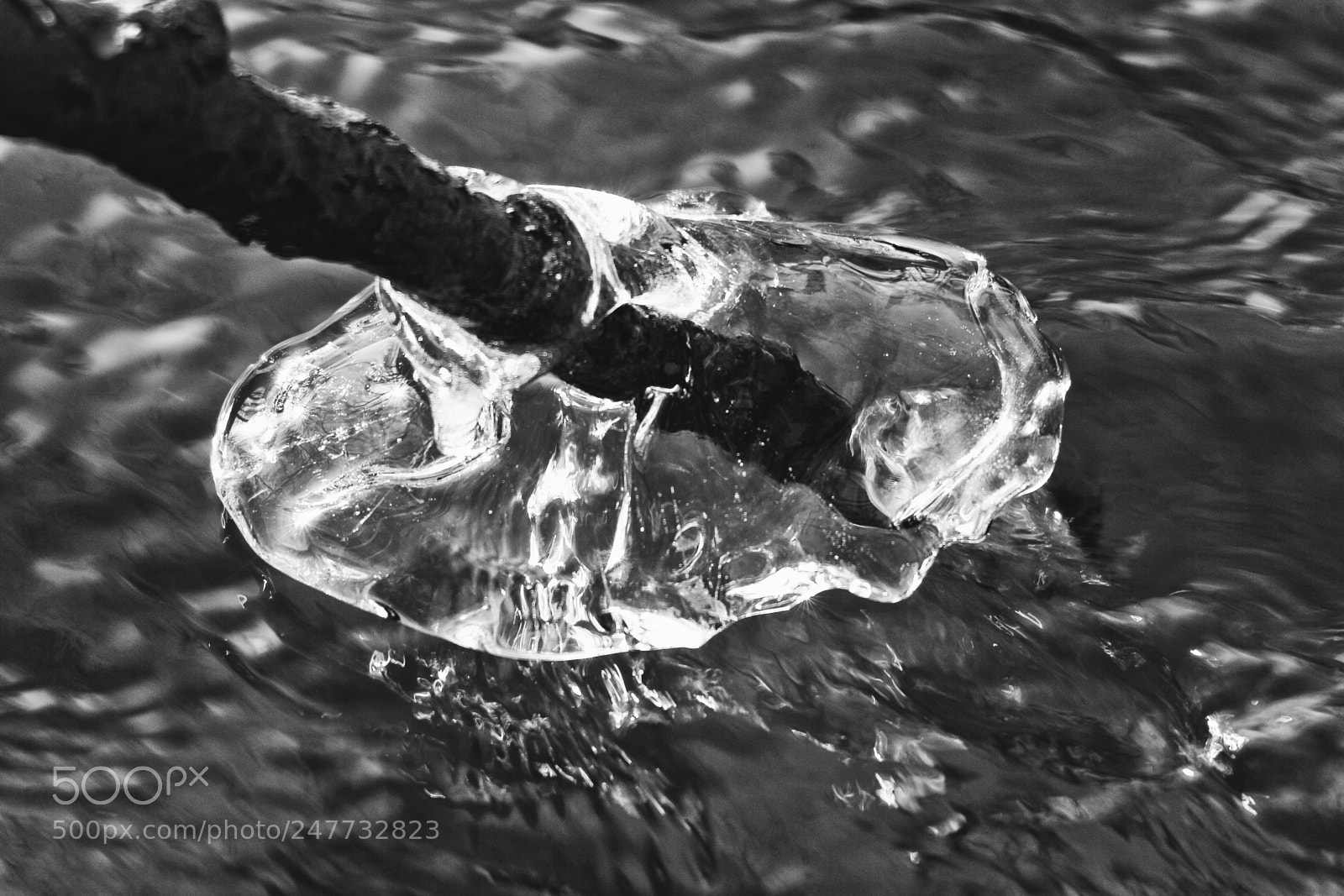 Canon EOS 60D sample photo. Growing ice photography