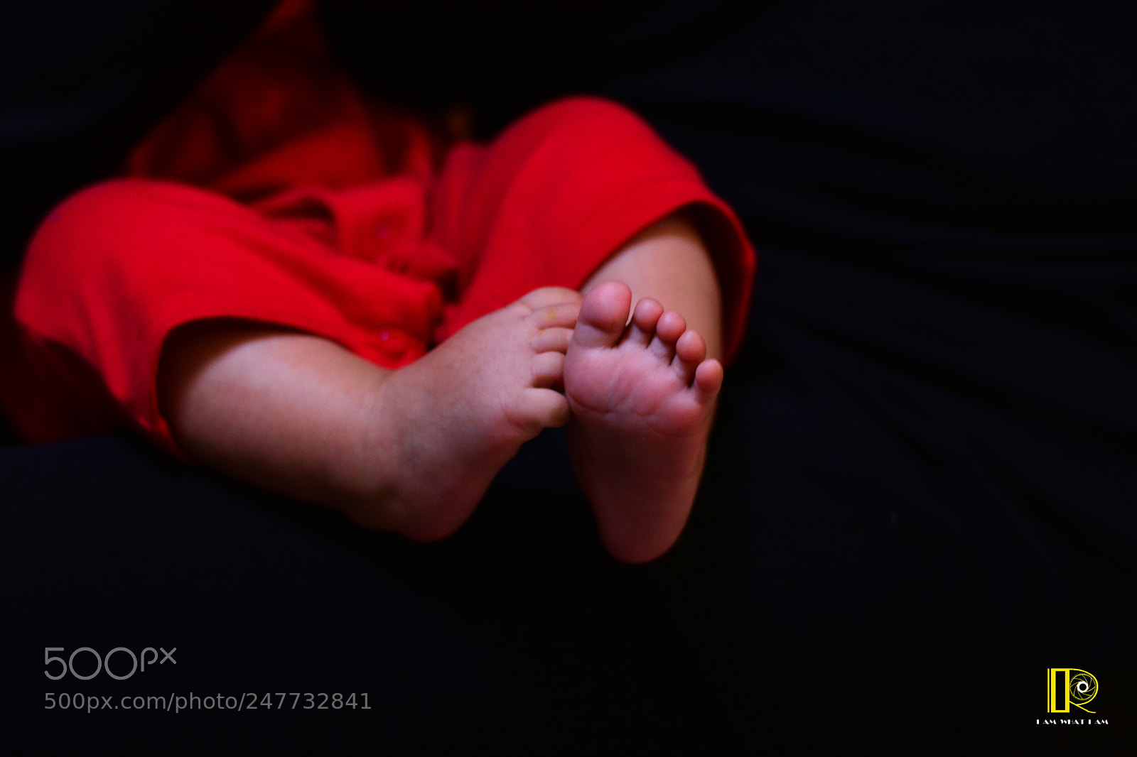 Nikon D7100 sample photo. Untitled photography