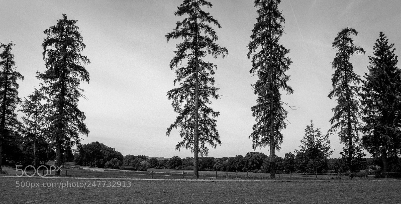 Samsung NX300 sample photo. Random bavarian landscapes photography