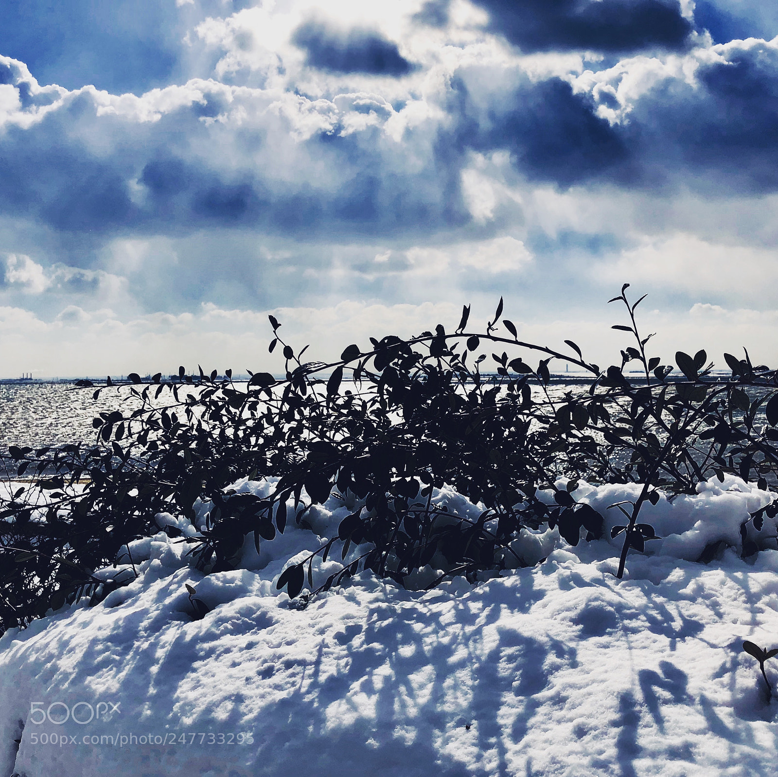 Apple iPhone X sample photo. Chalkwell beach 2 280218 photography