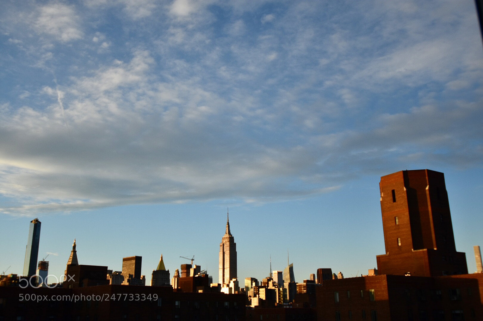 Nikon D3400 sample photo. Upcoming spring in ny photography
